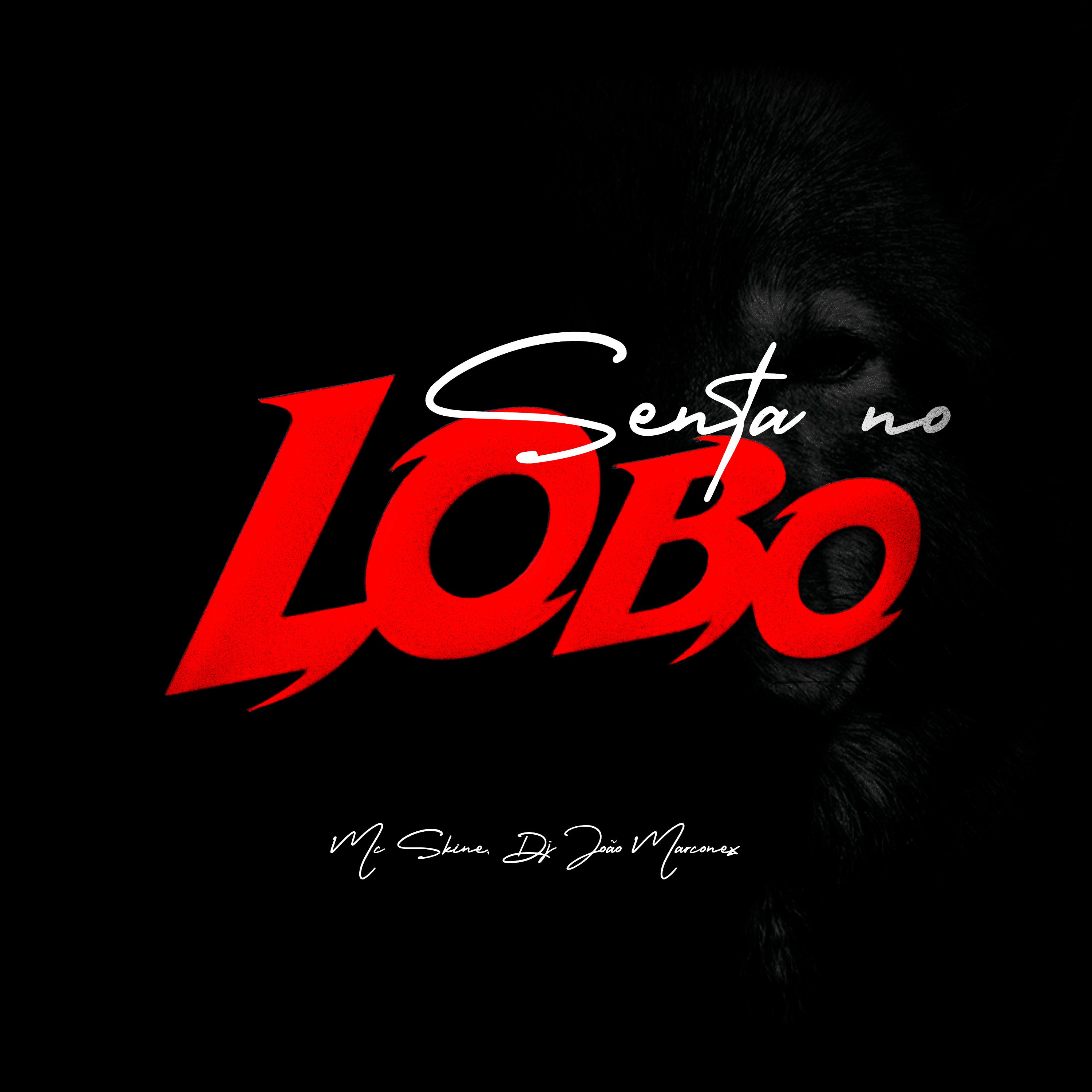 Постер альбома Senta no Lobo