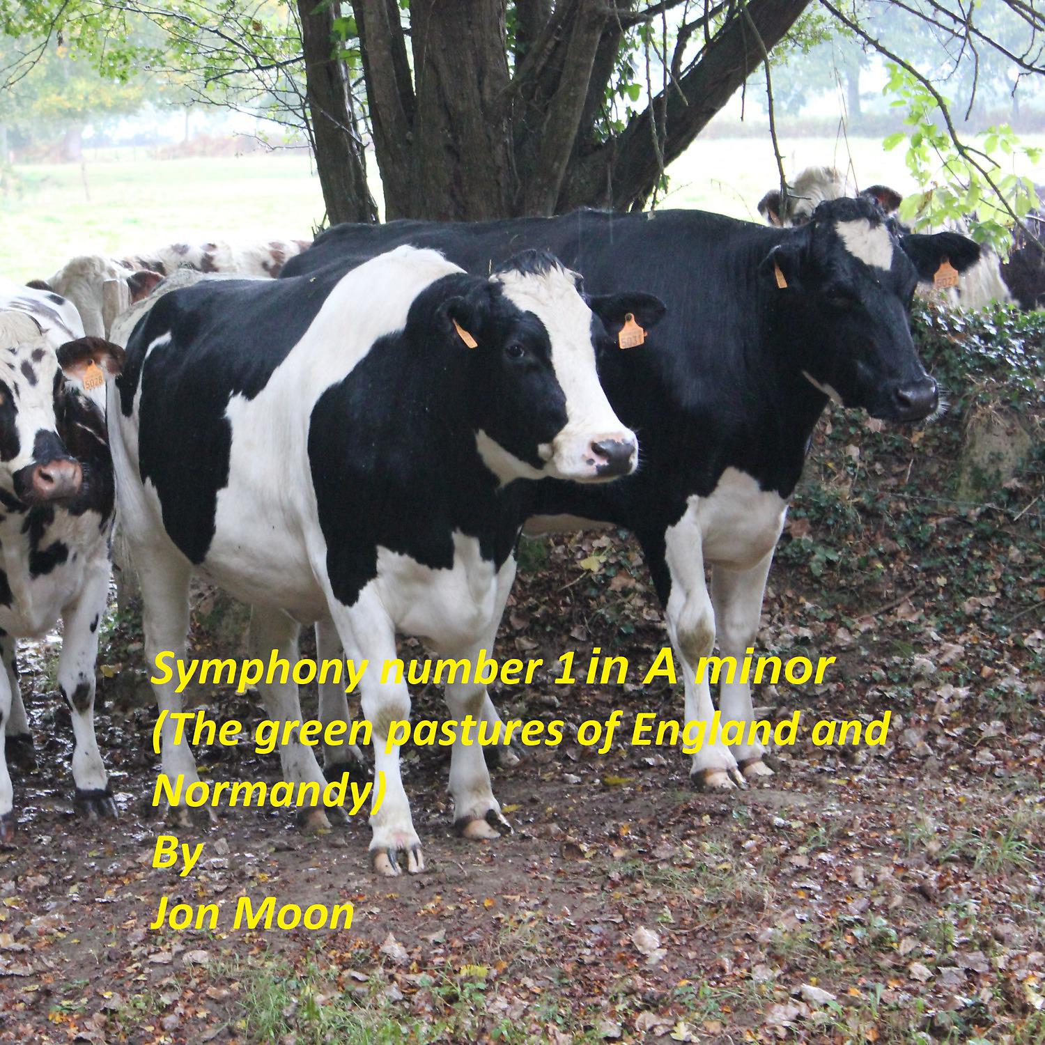 Постер альбома Symphony Number 1 in A Minor (The Green Pastures of England and Normandy)