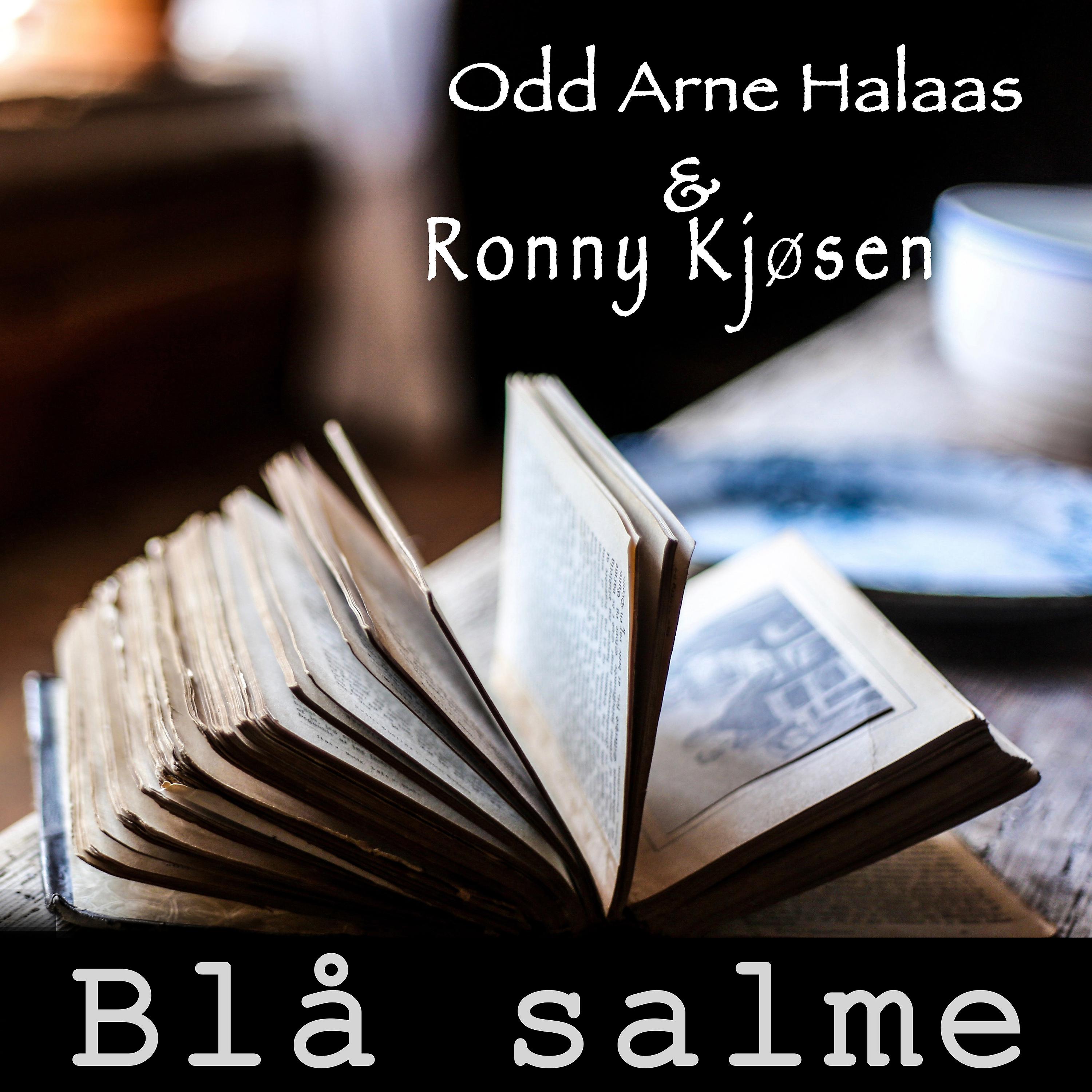Постер альбома Blå salme