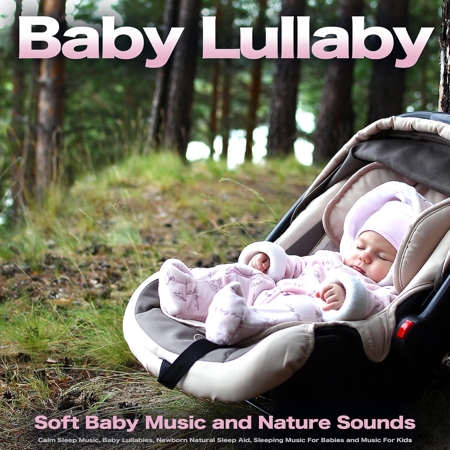 Постер альбома Baby Lullaby: Soft Baby Music and Nature Sounds, Calm Sleep Music, Baby Lullabies, Newborn Natural Sleep Aid, Sleeping Music For Babies and Music For Kids