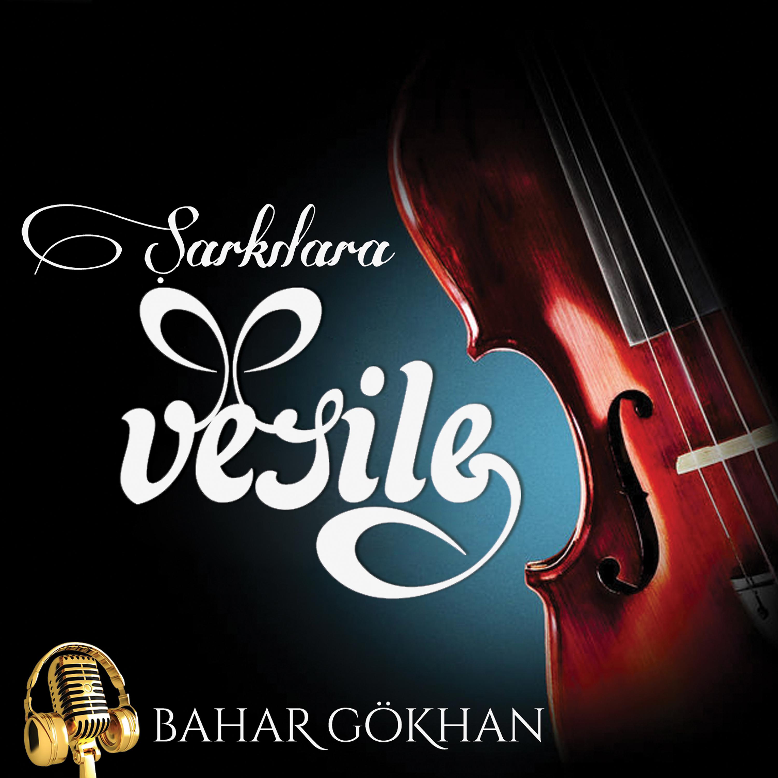 Постер альбома Şarkılara Vesile