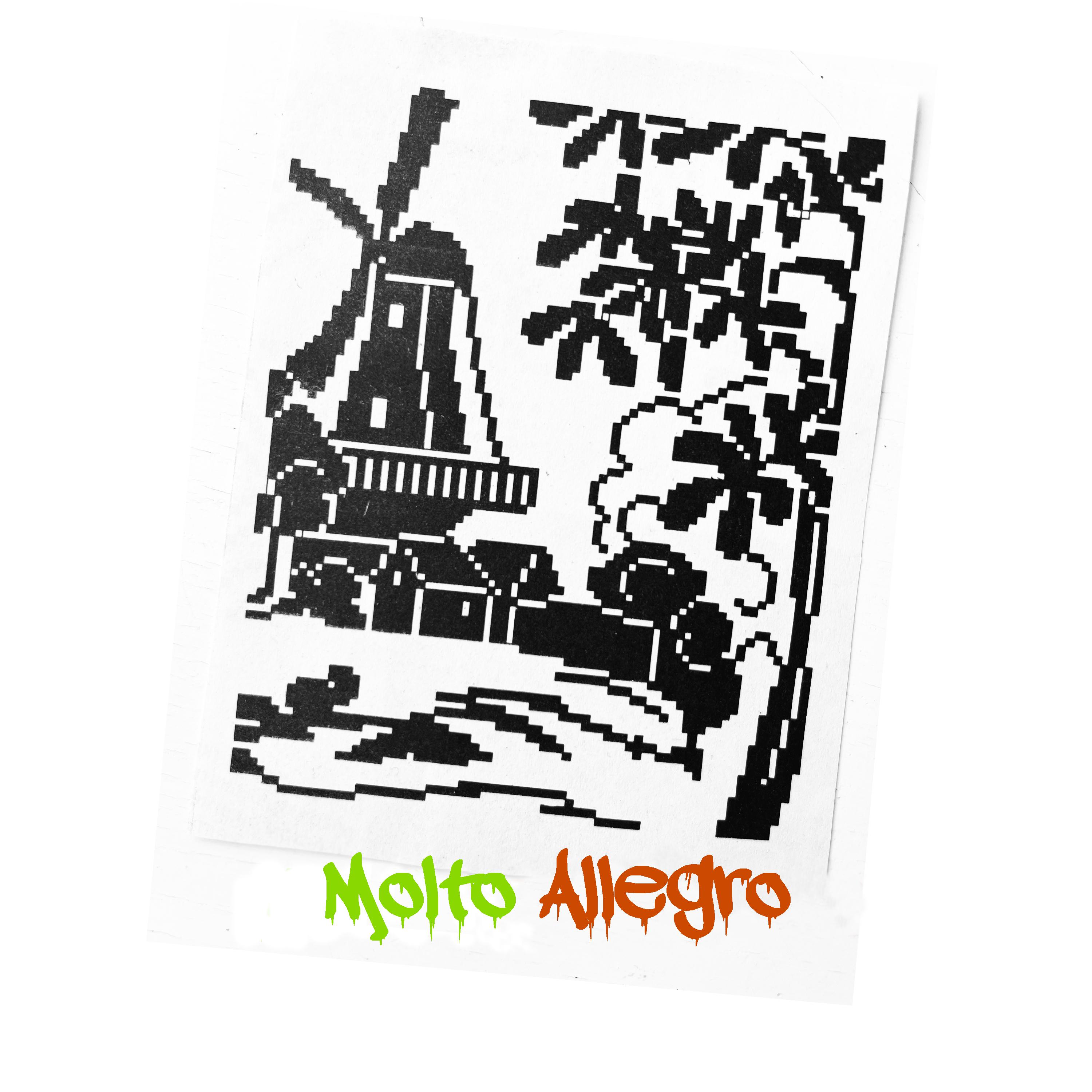 Постер альбома Molto Allegro