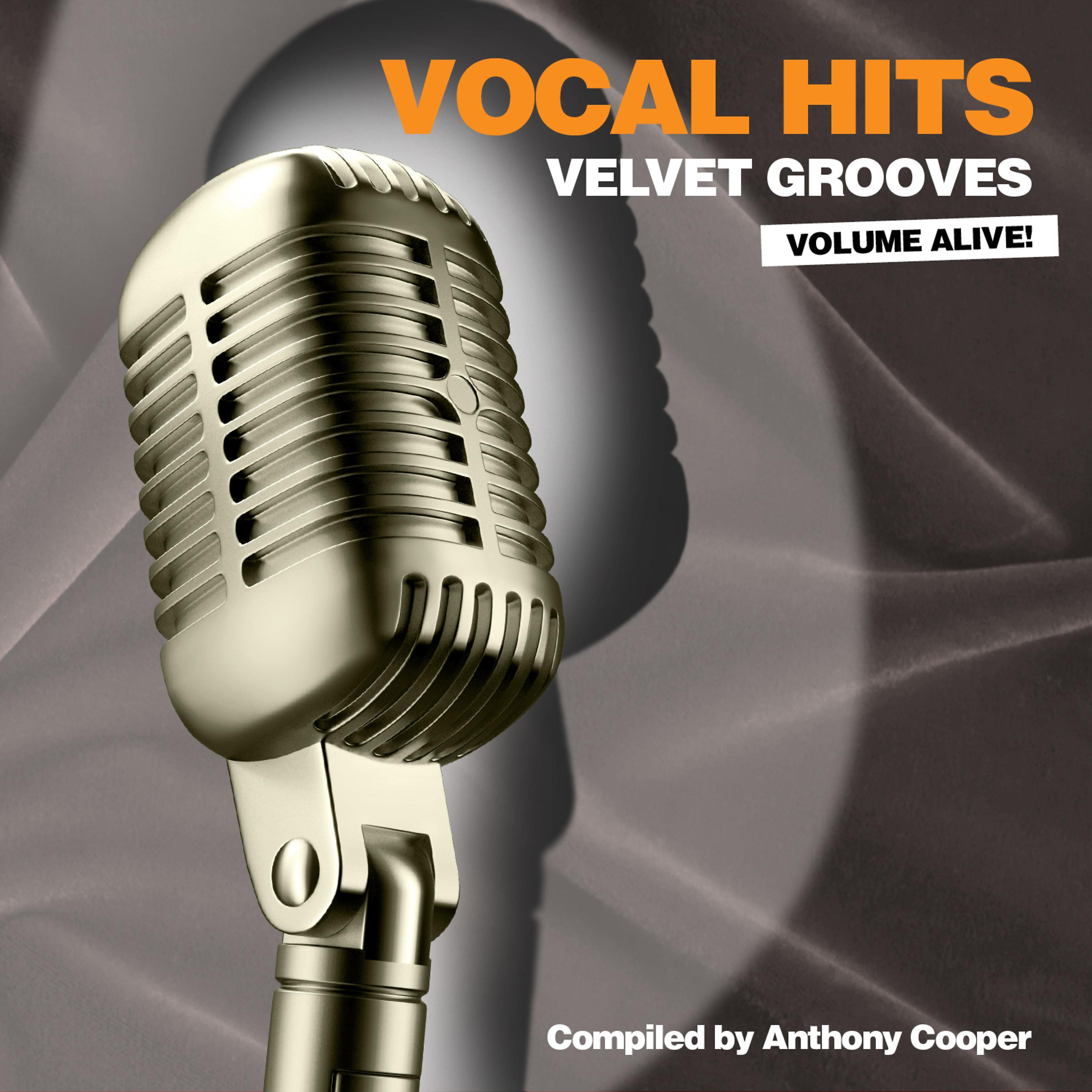 Постер альбома Vocal Hits Velvet Grooves Volume Alive!
