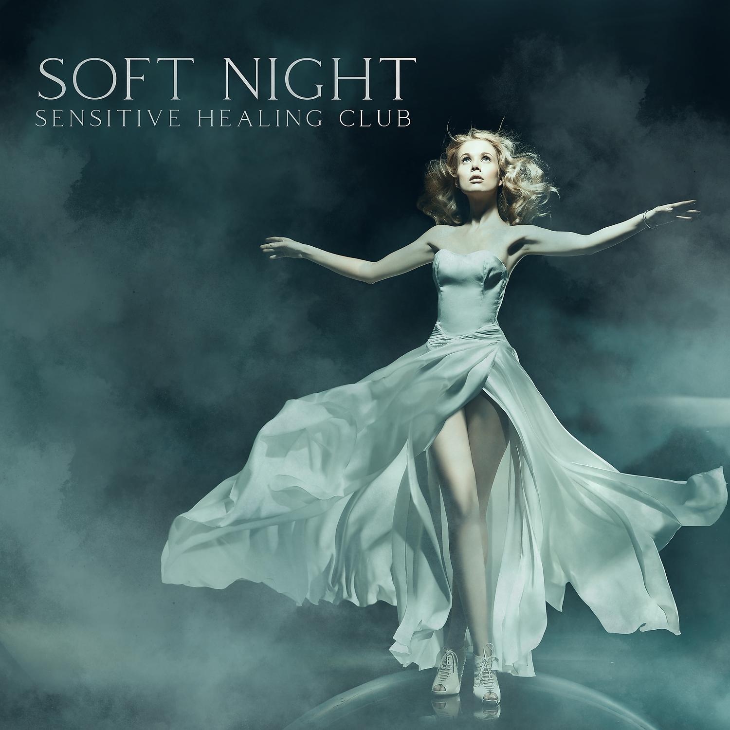 Постер альбома Soft Night Sensitive Healing Club