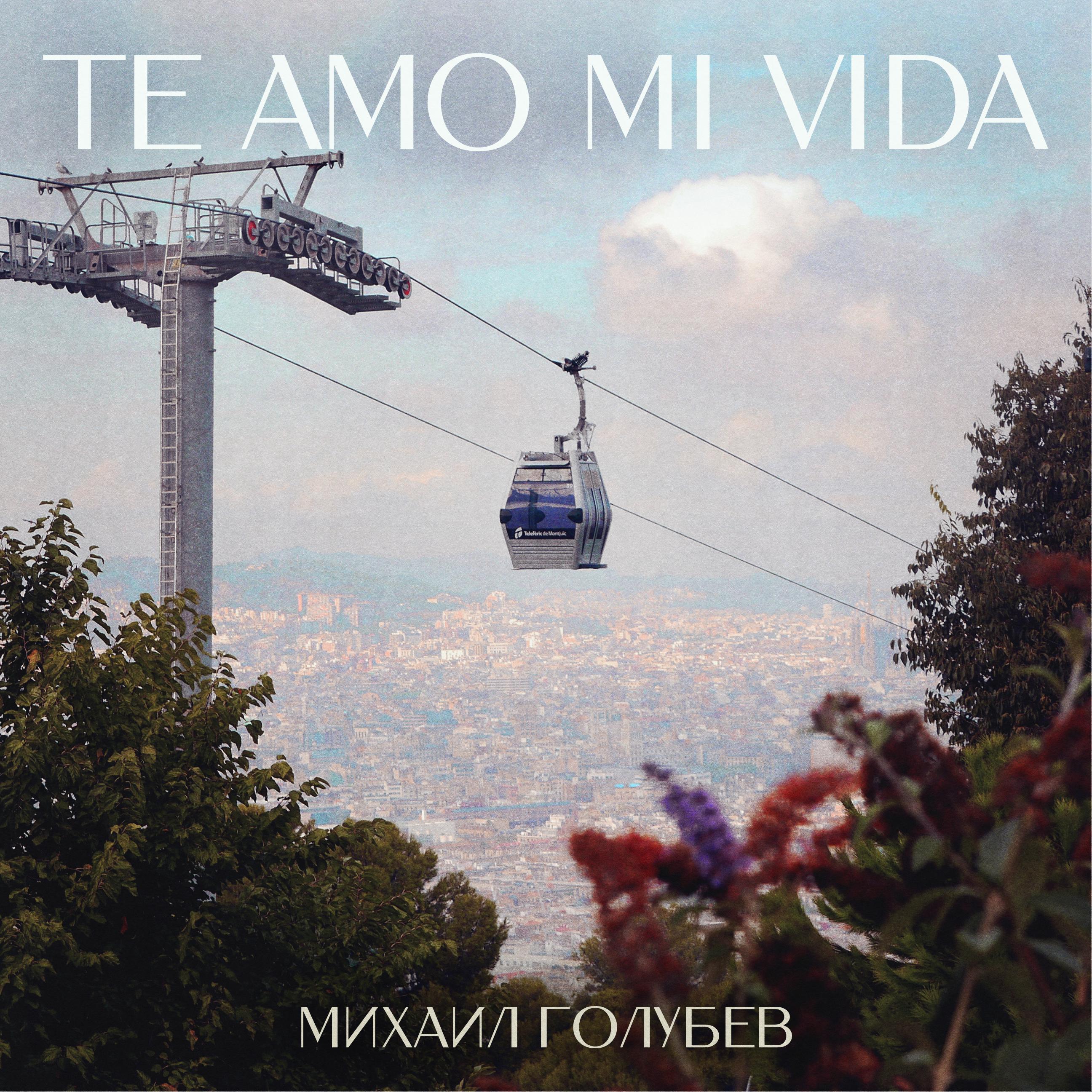 Постер альбома Te Amo Mi Vida