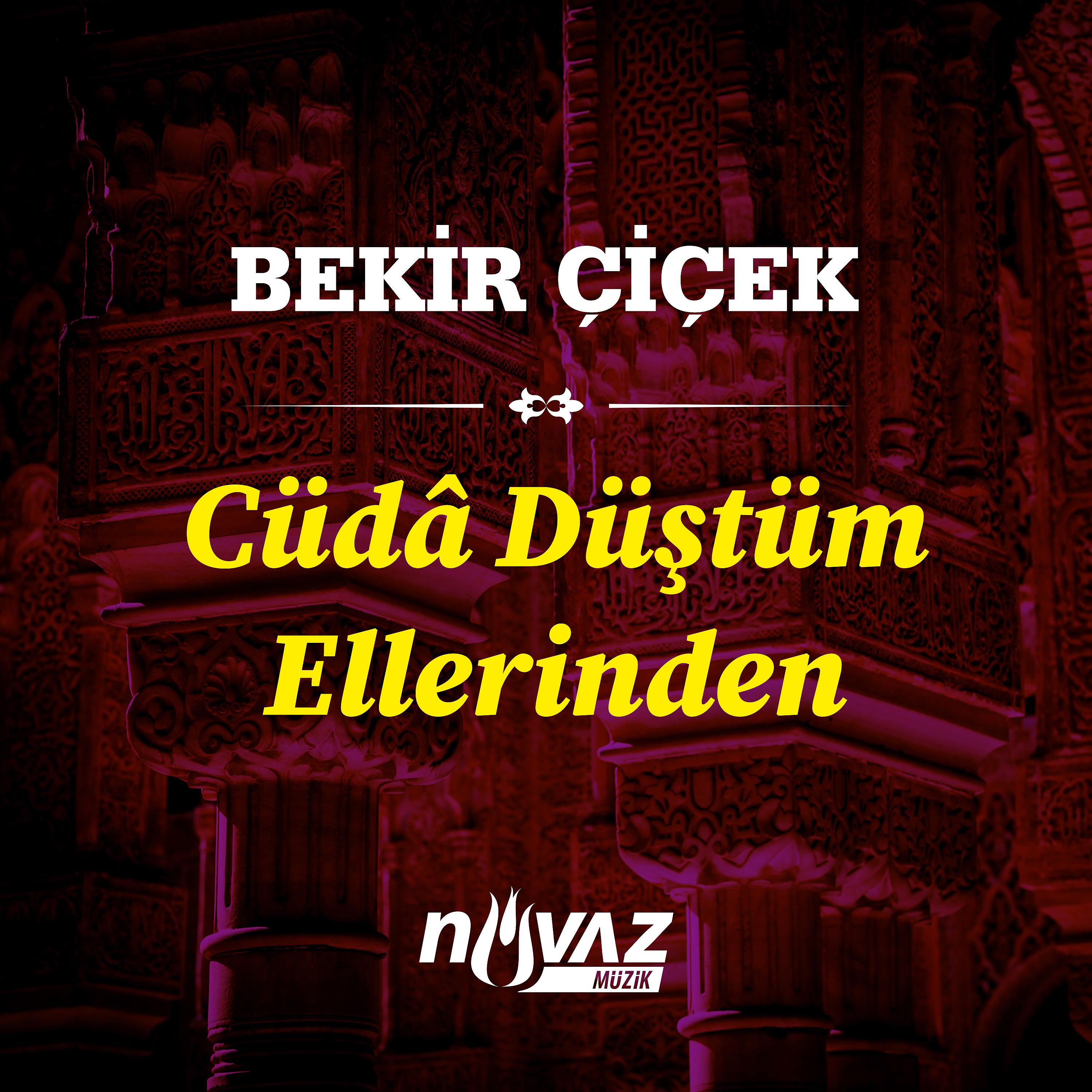 Постер альбома Cüdâ Düştüm Ellerinden