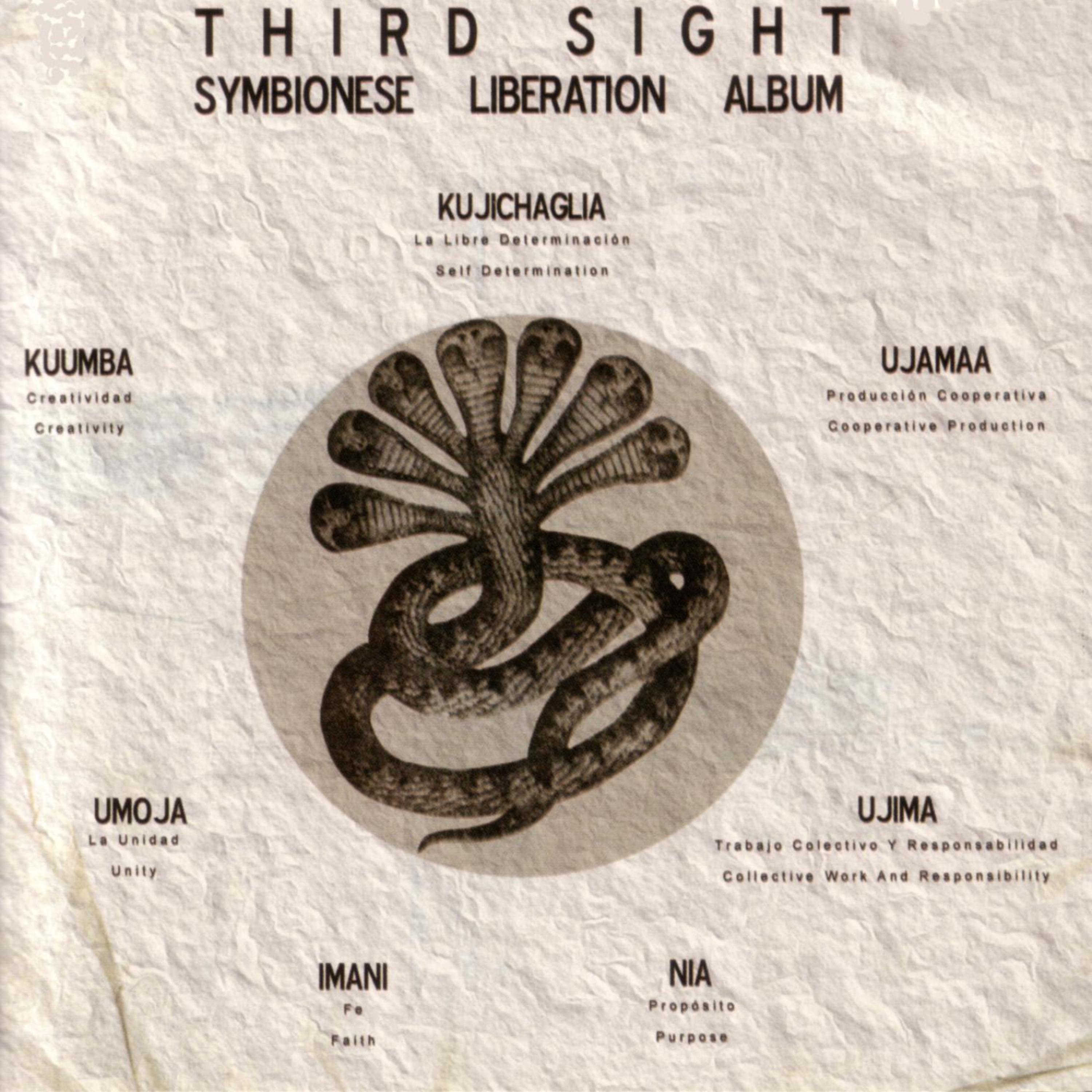 Постер альбома Symbionese Liberation Album
