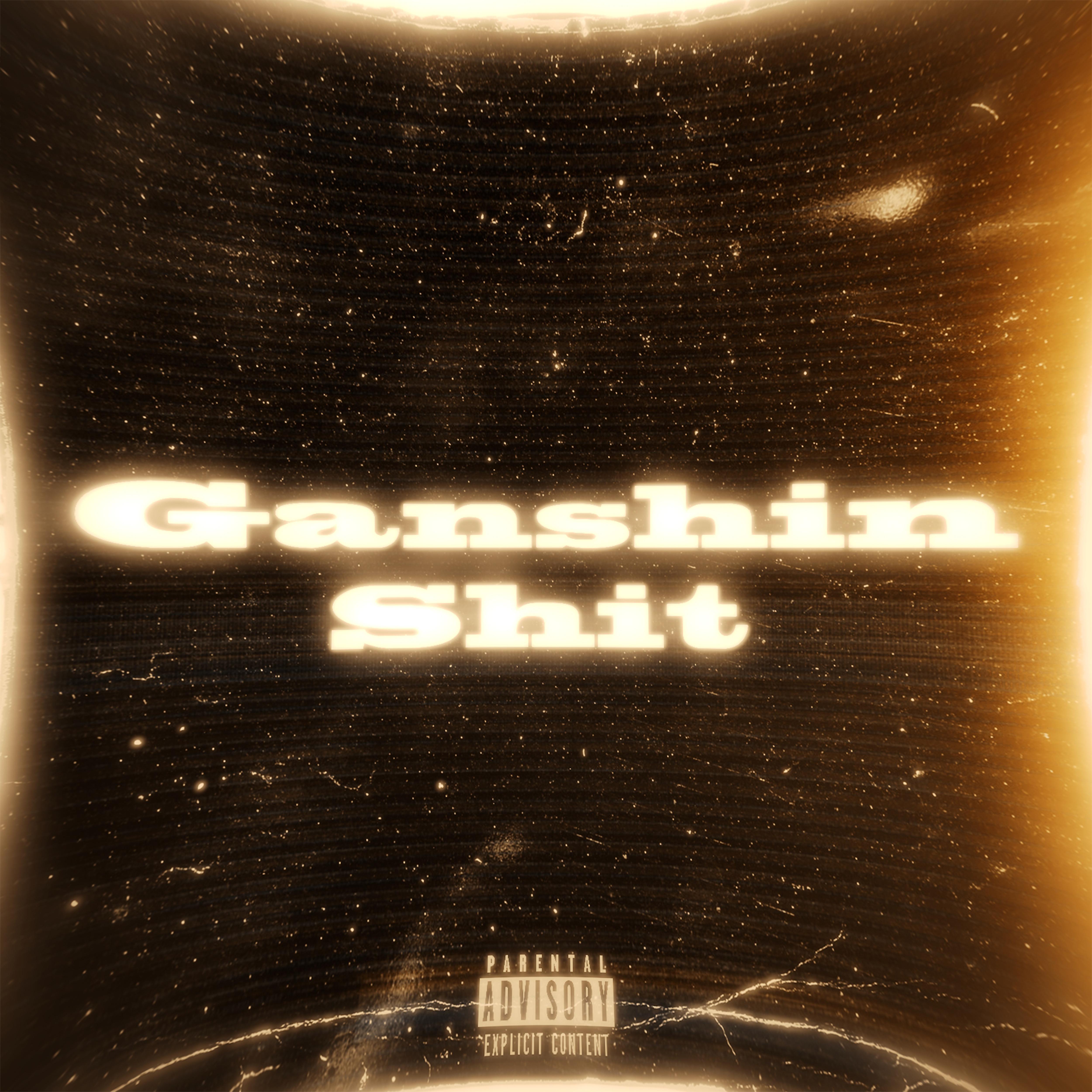 Постер альбома Ganshin Shit