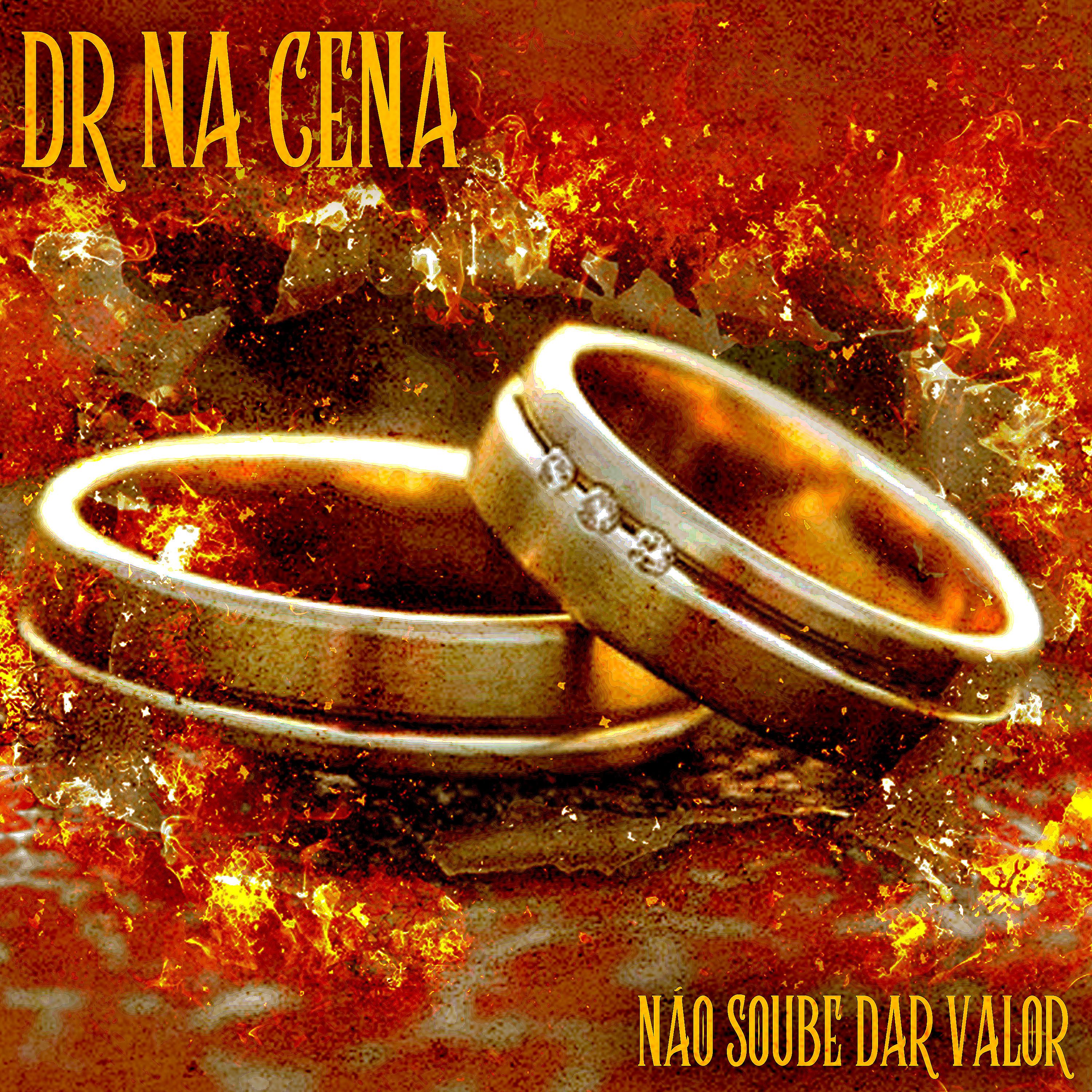 Постер альбома Não Soube Dar Valor