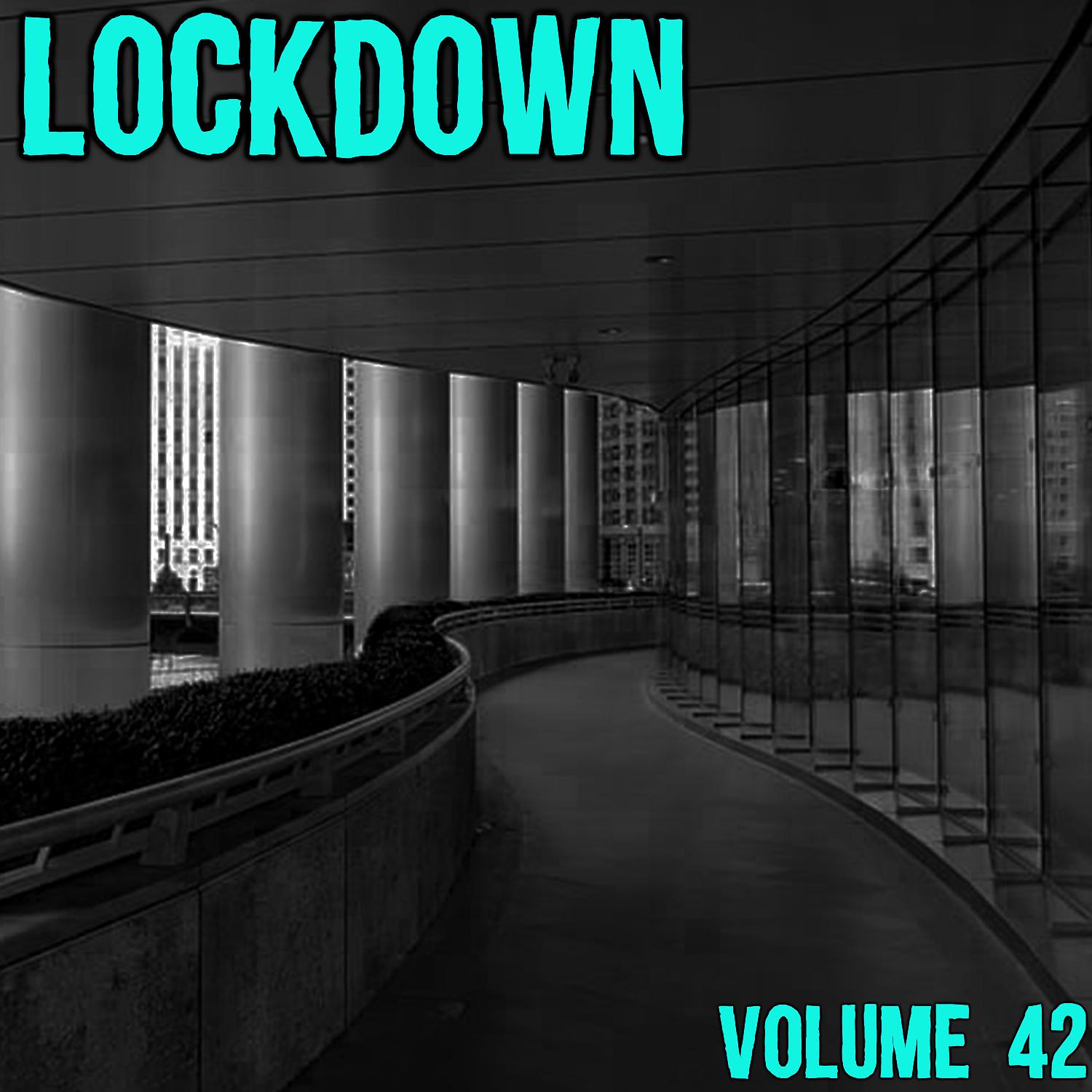Постер альбома Lock Down Vol. 42