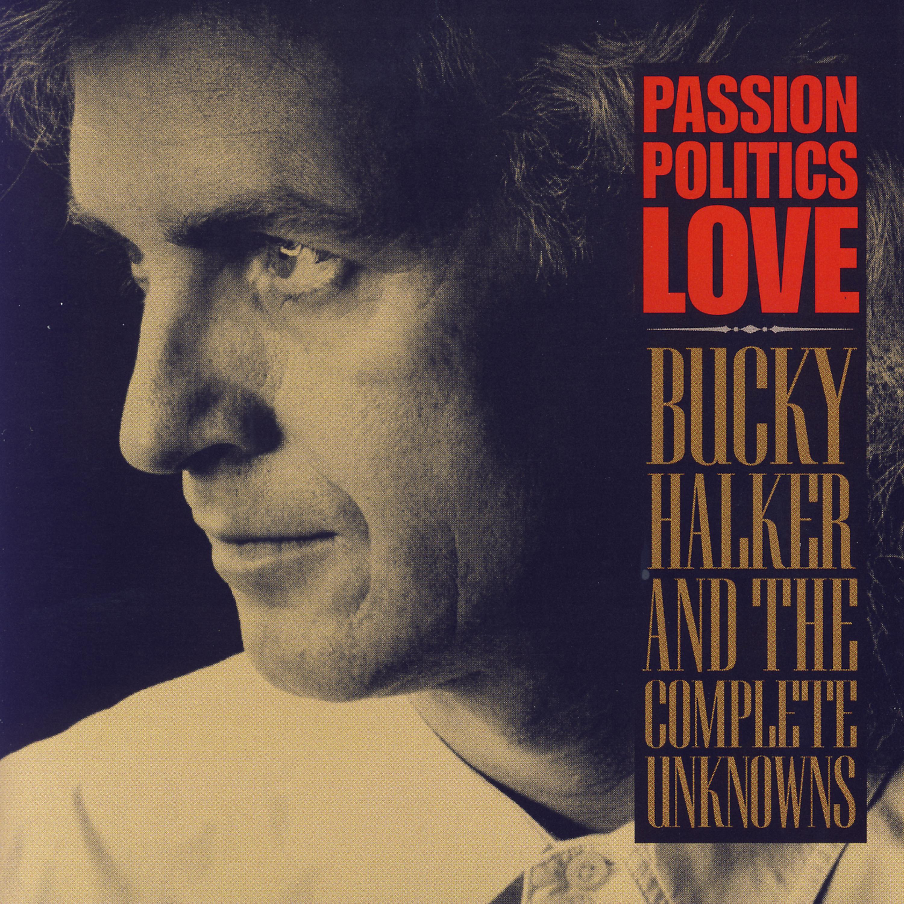 Постер альбома Passion Politics Love