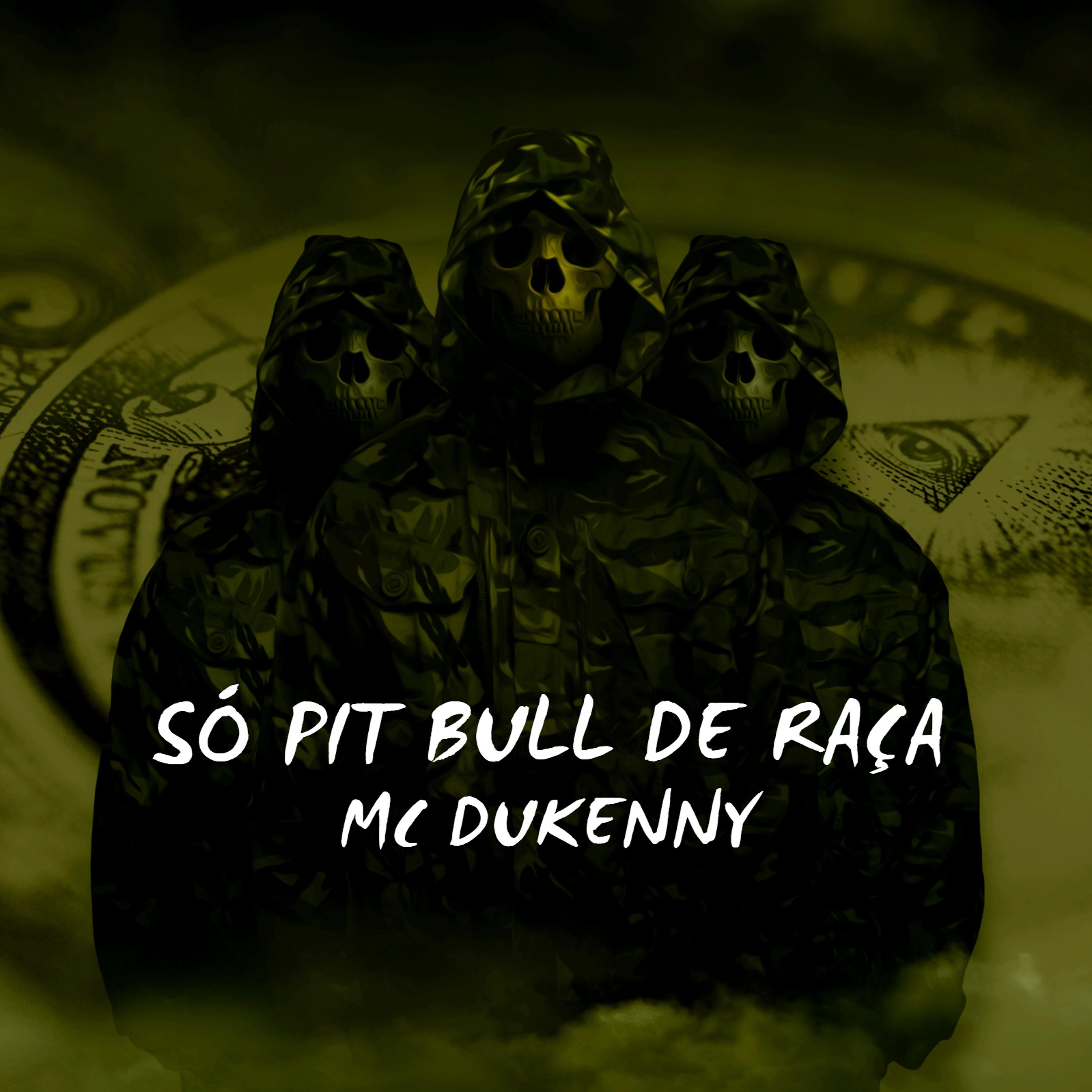 Постер альбома Só Pitbull de Raça