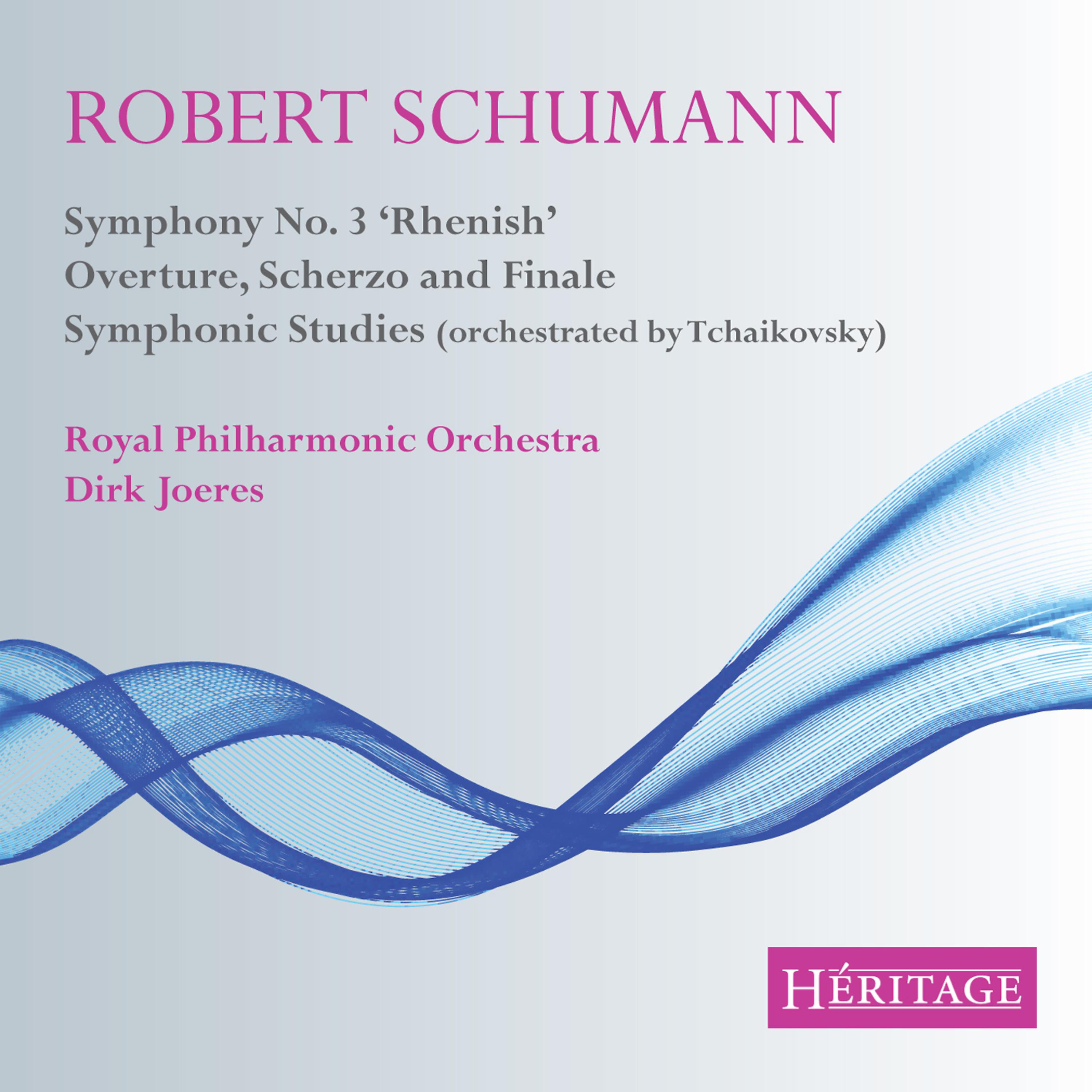 Постер альбома Schumann Orchestral Works