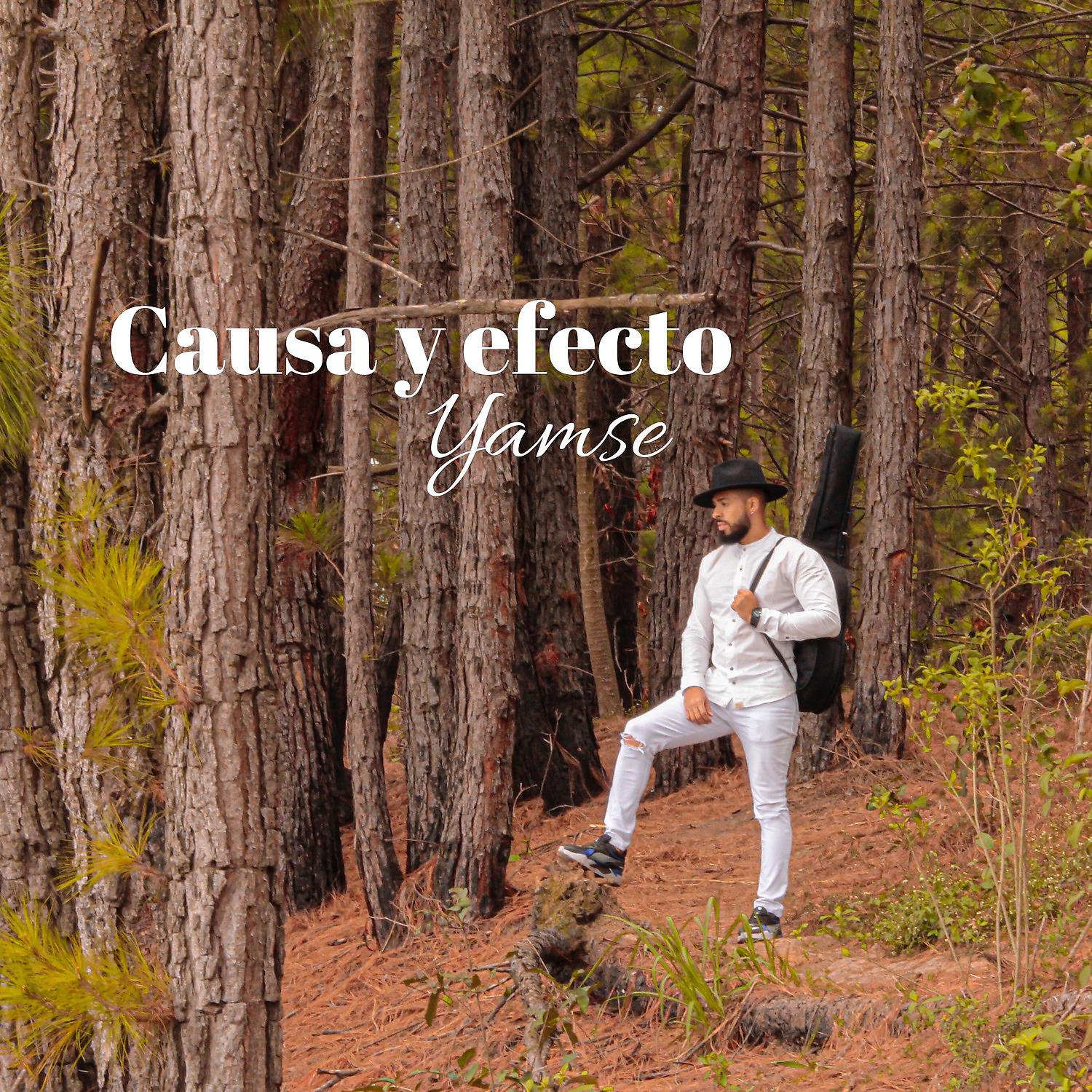 Постер альбома Causa y Efecto