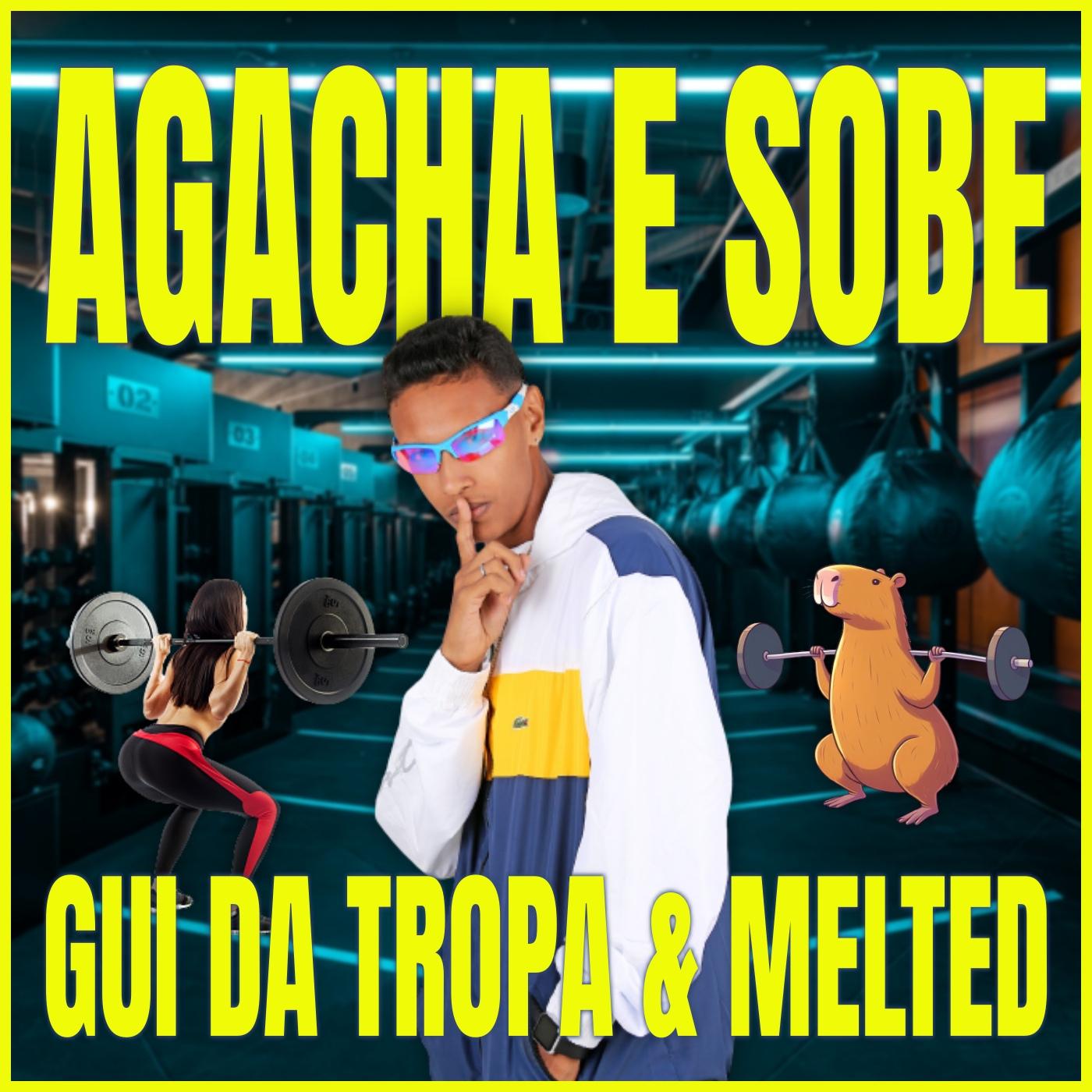 Постер альбома Agacha e Sobe