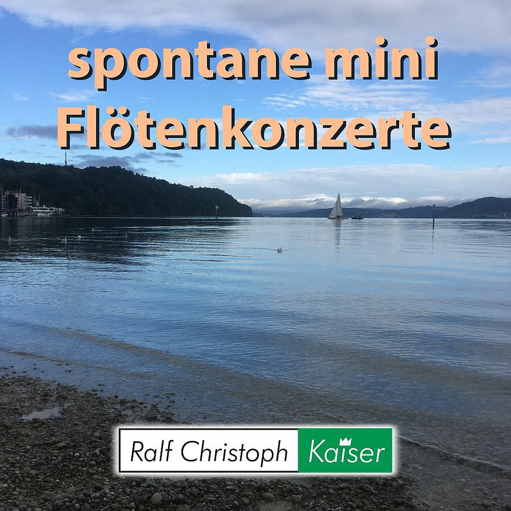 Постер альбома Spontane mini Flötenkonzerte