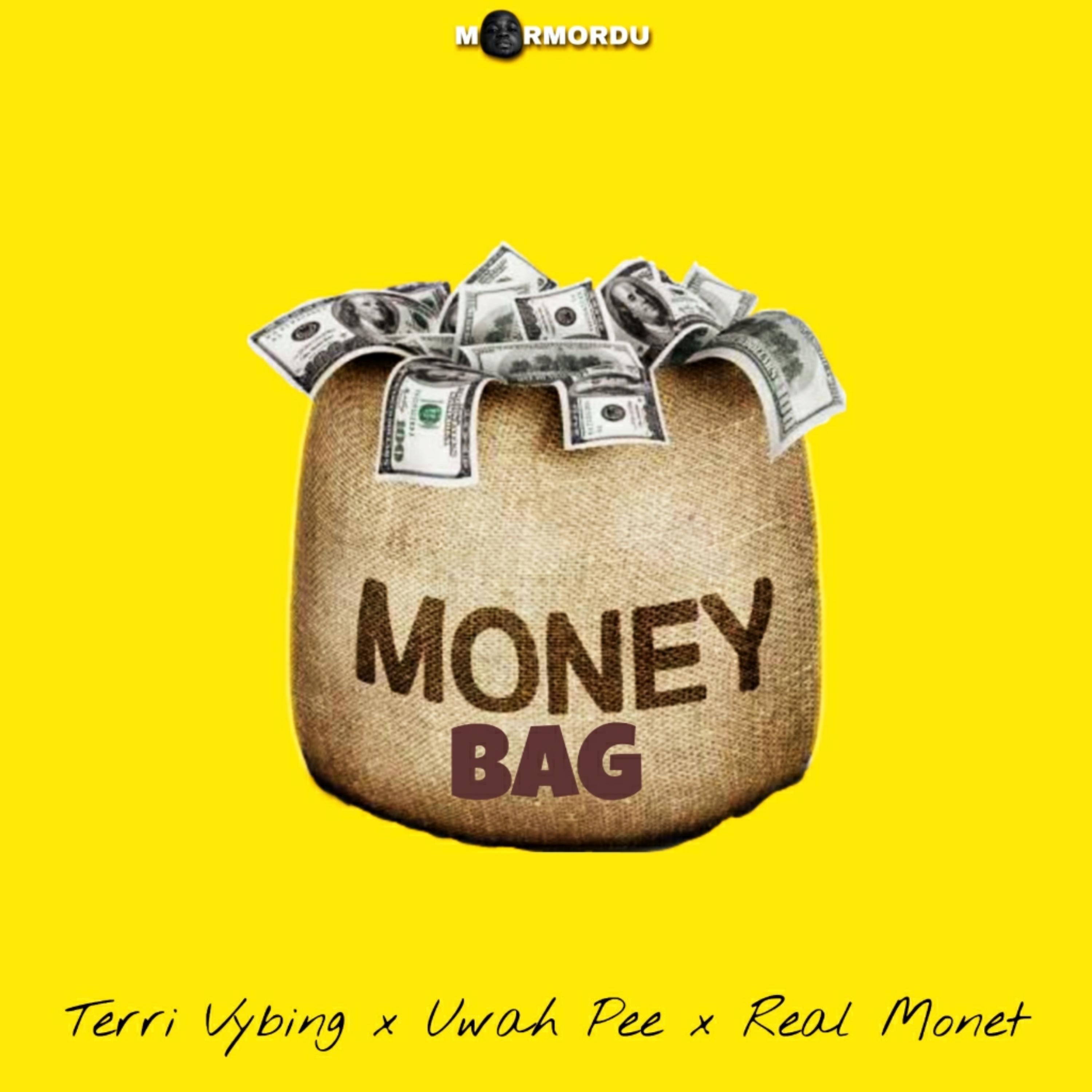Постер альбома MONEY BAG (feat. Terri Vybing,Uwah Pee & Real Monet)