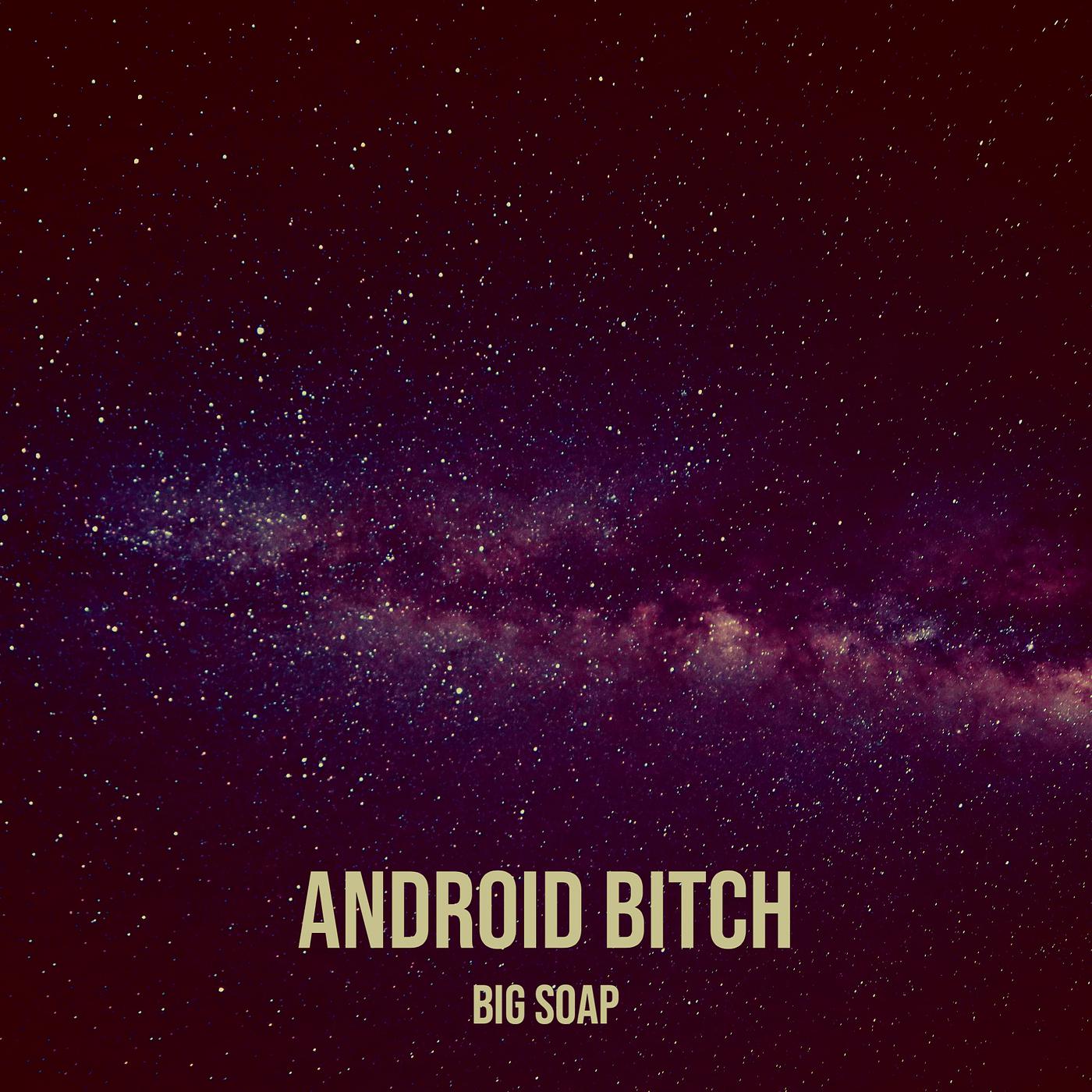 Постер альбома Android Bitch