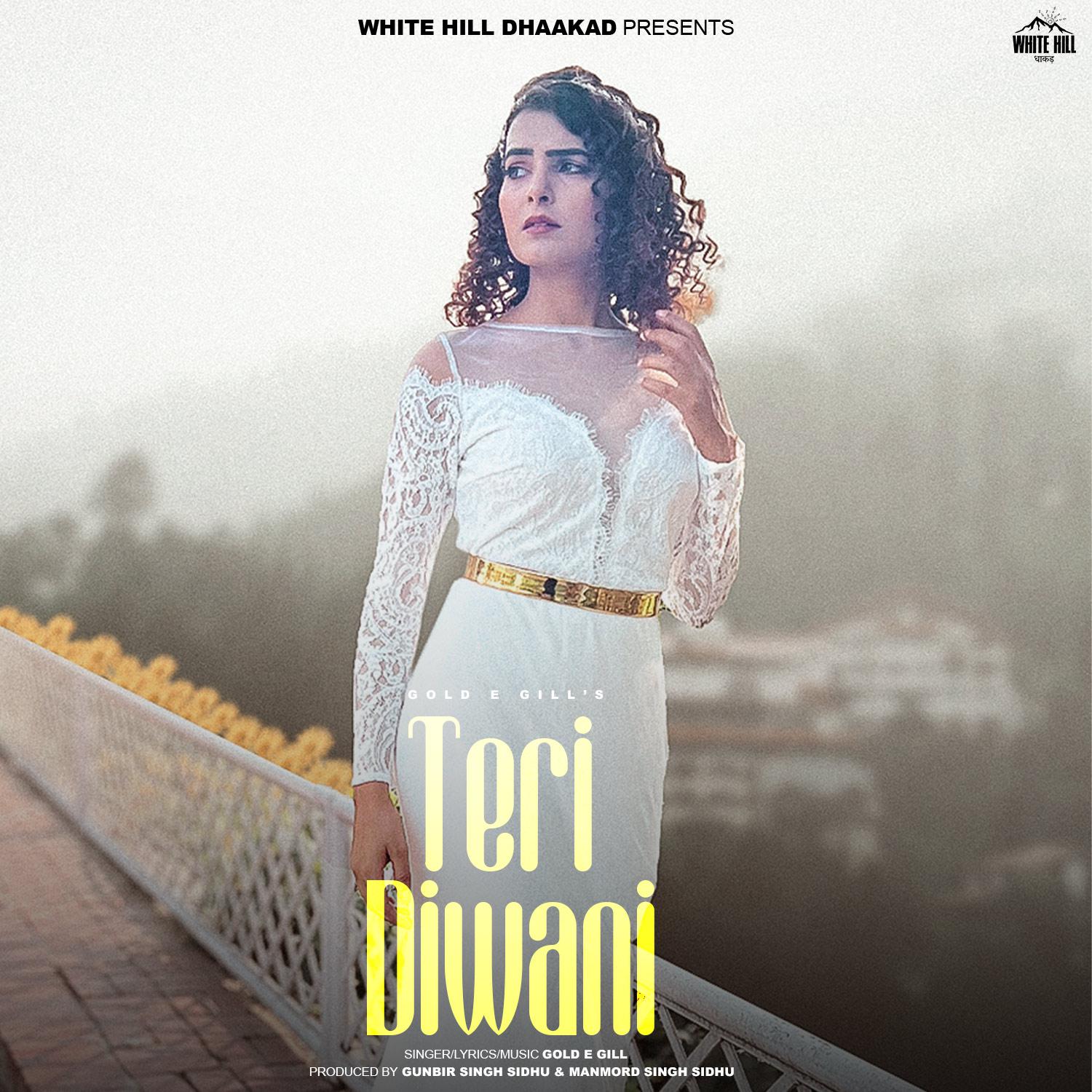 Постер альбома Teri Diwani