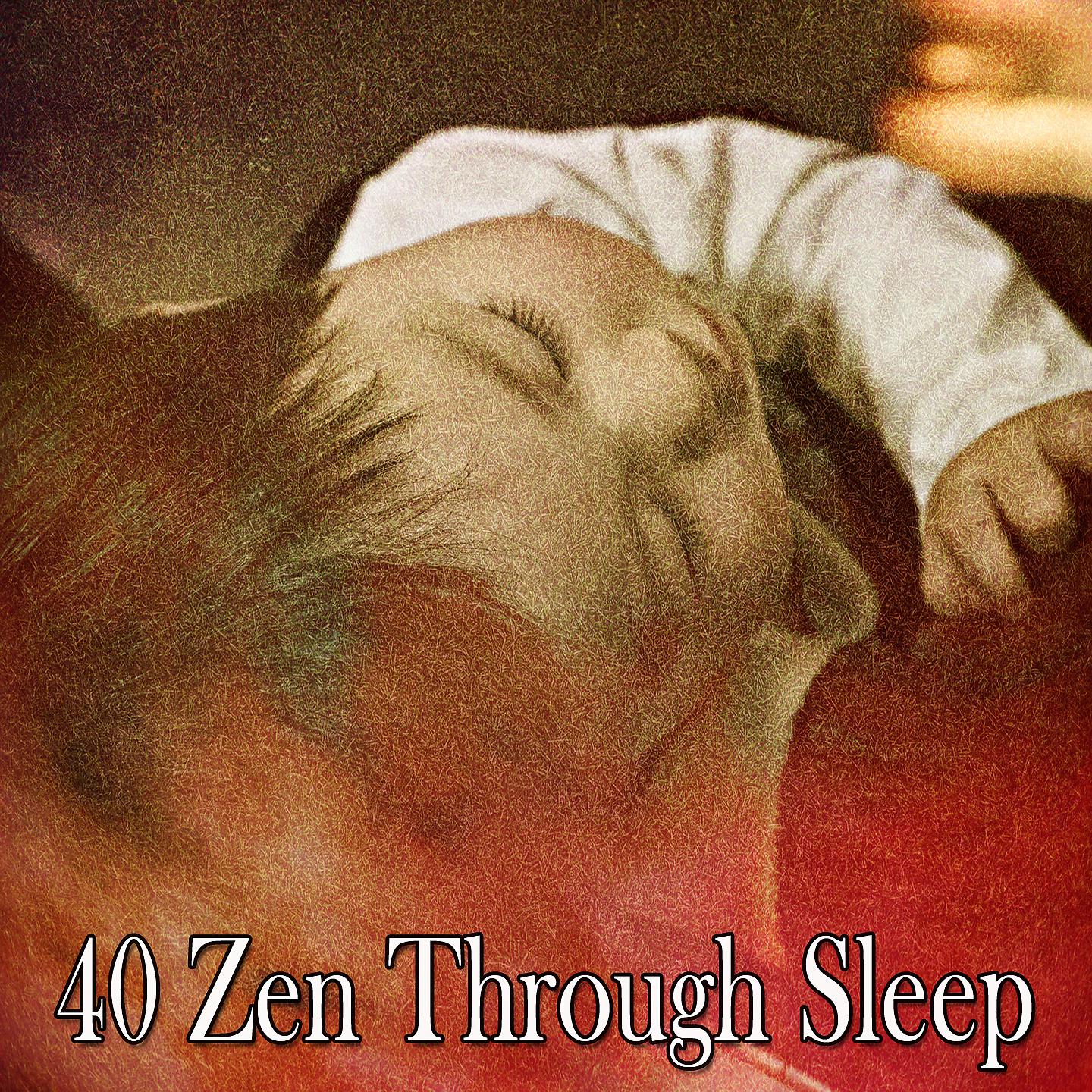 Постер альбома 40 Дзен во сне