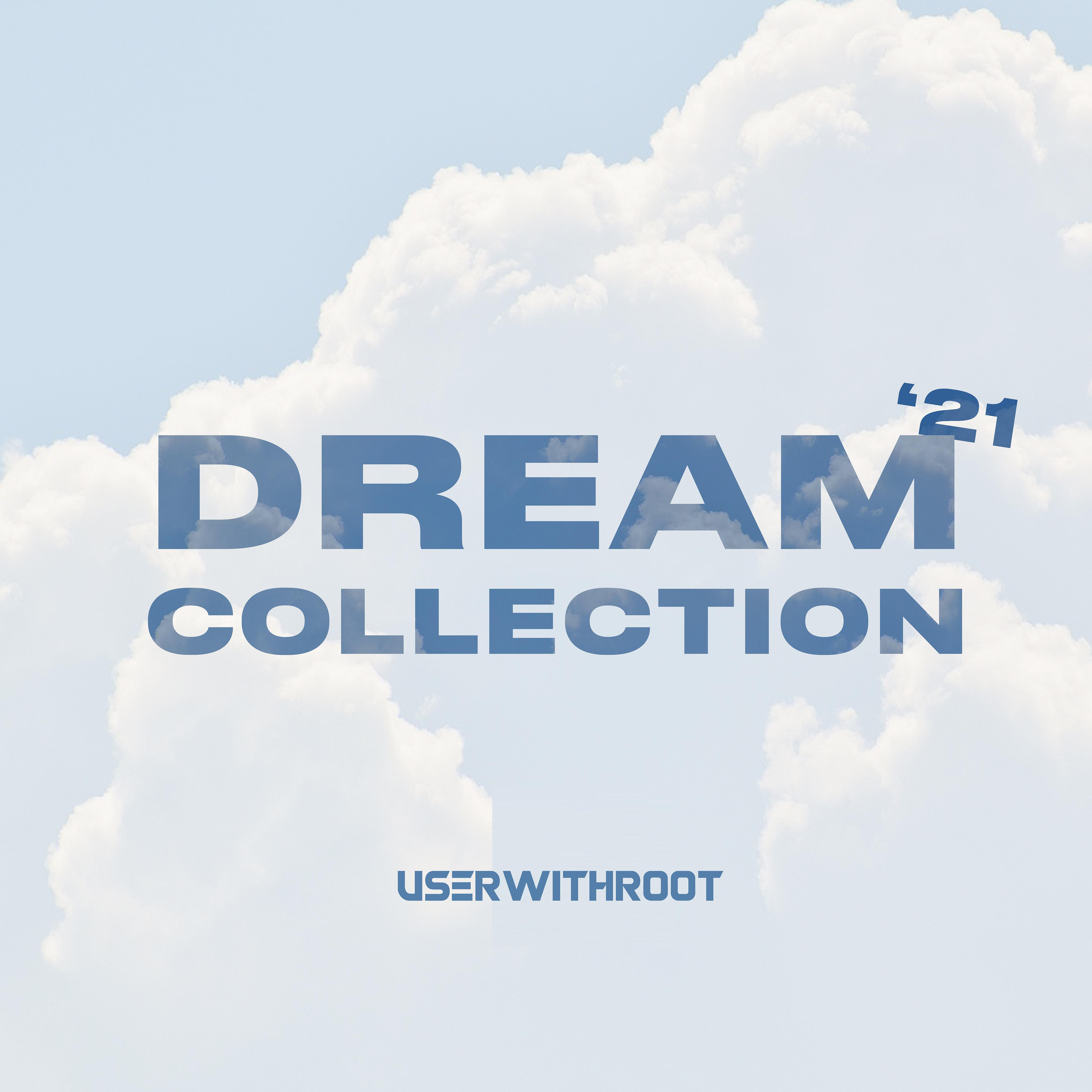Постер альбома Dream Collection 21