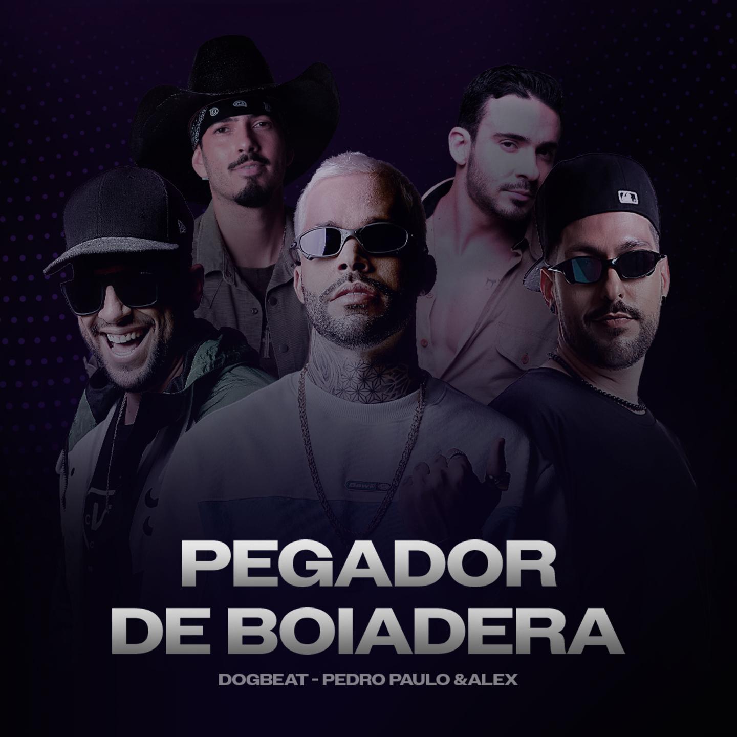 Постер альбома Pegador de Boiadeira