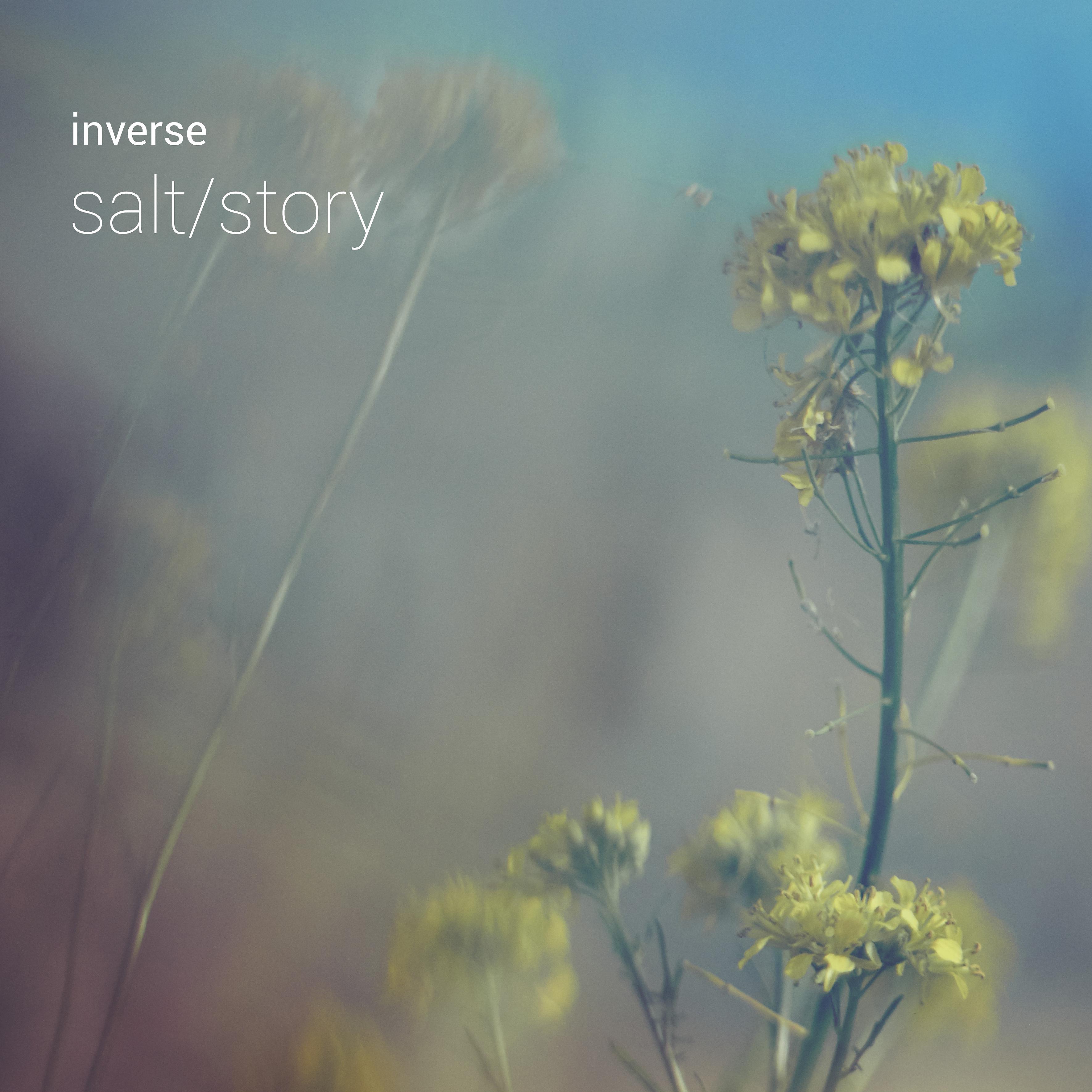 Постер альбома Salt / Story