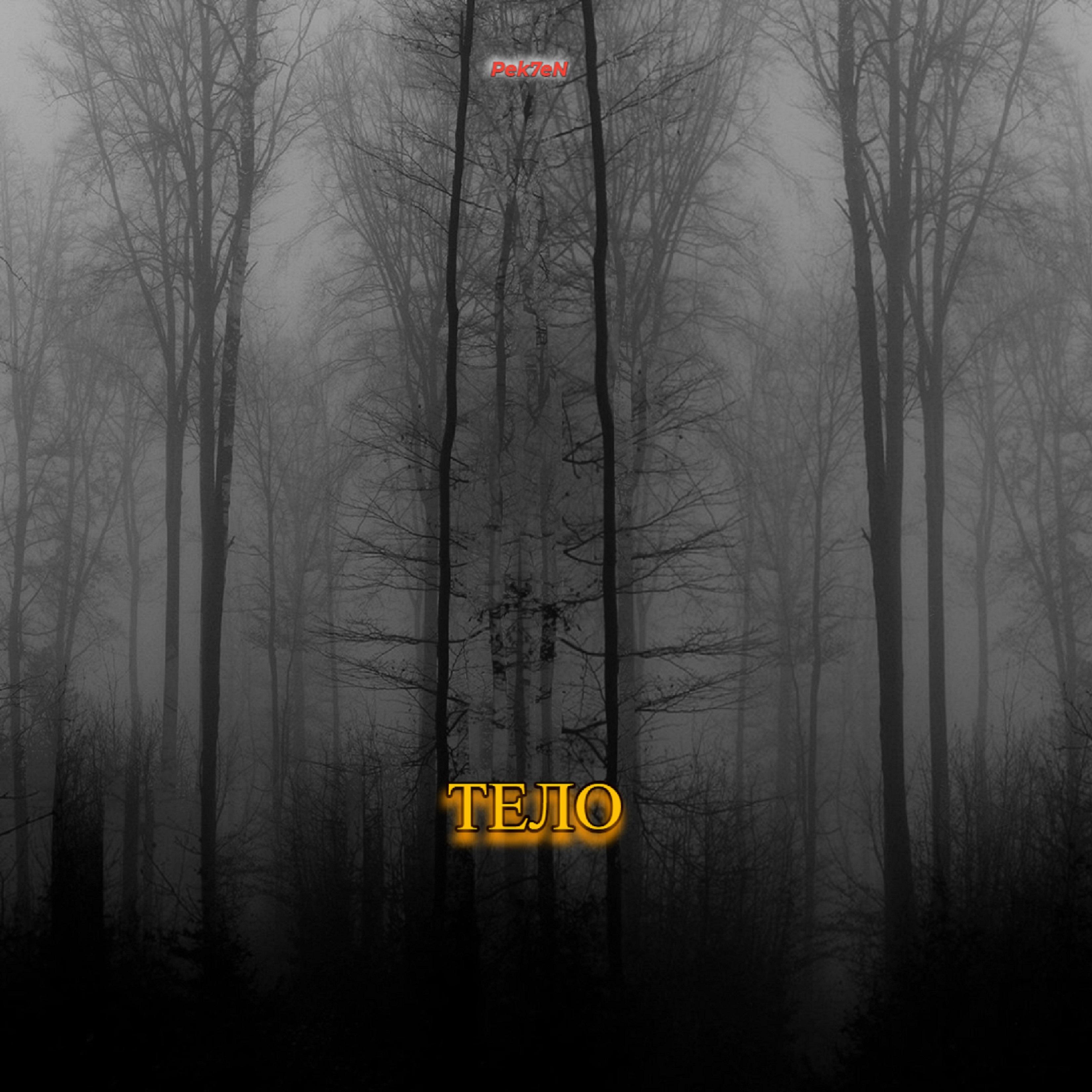 Постер альбома Тело