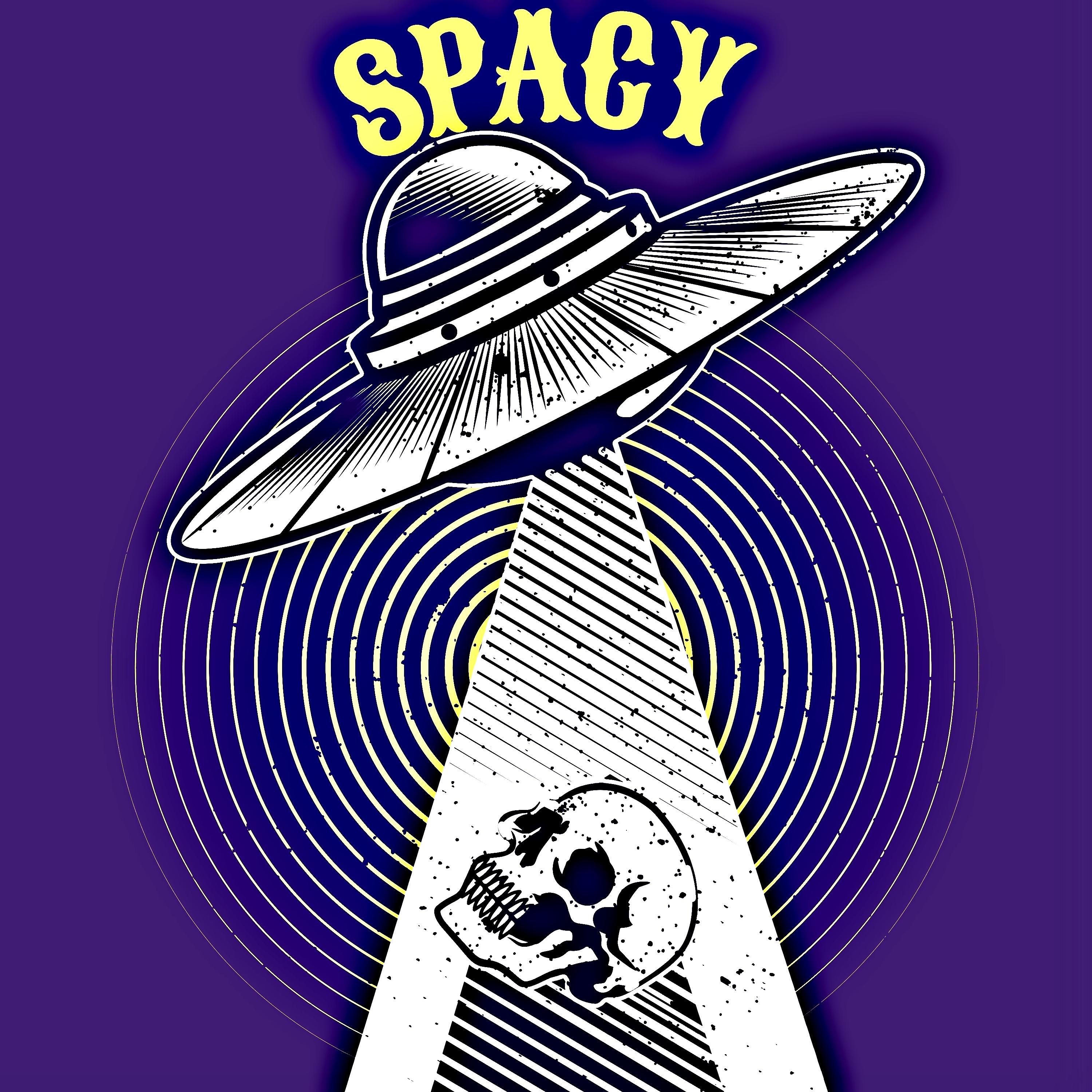 Постер альбома Spacy