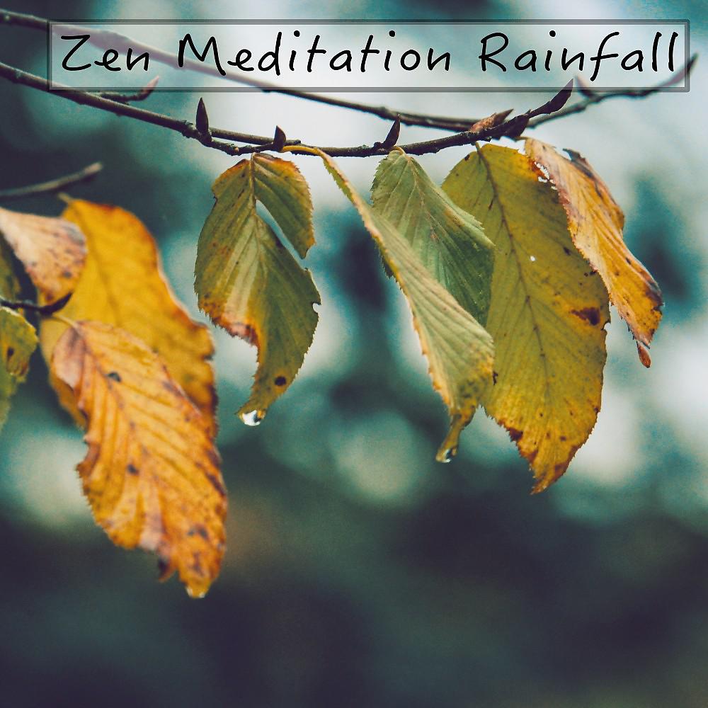 Постер альбома Zen Meditation Rainfall