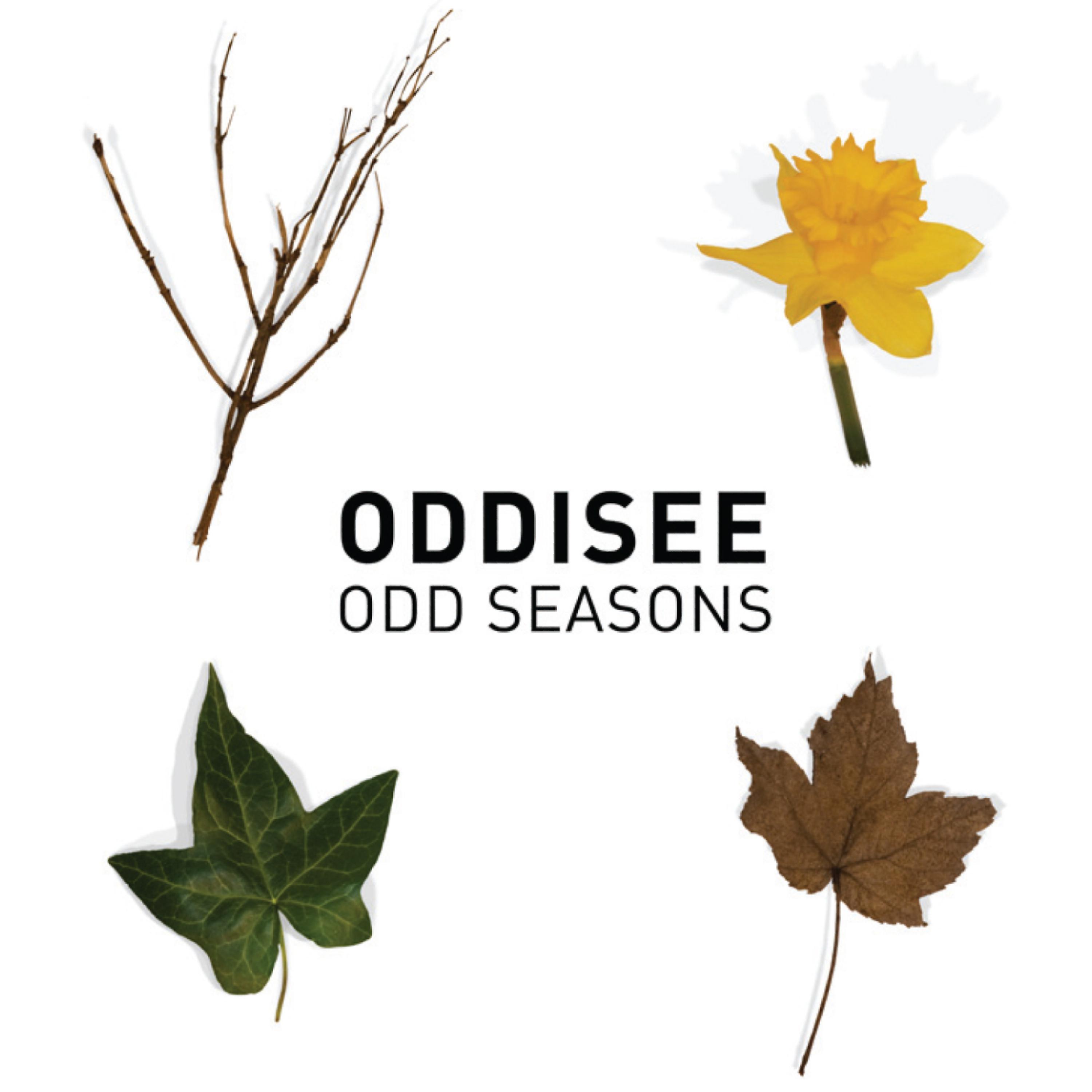 Постер альбома Odd Seasons