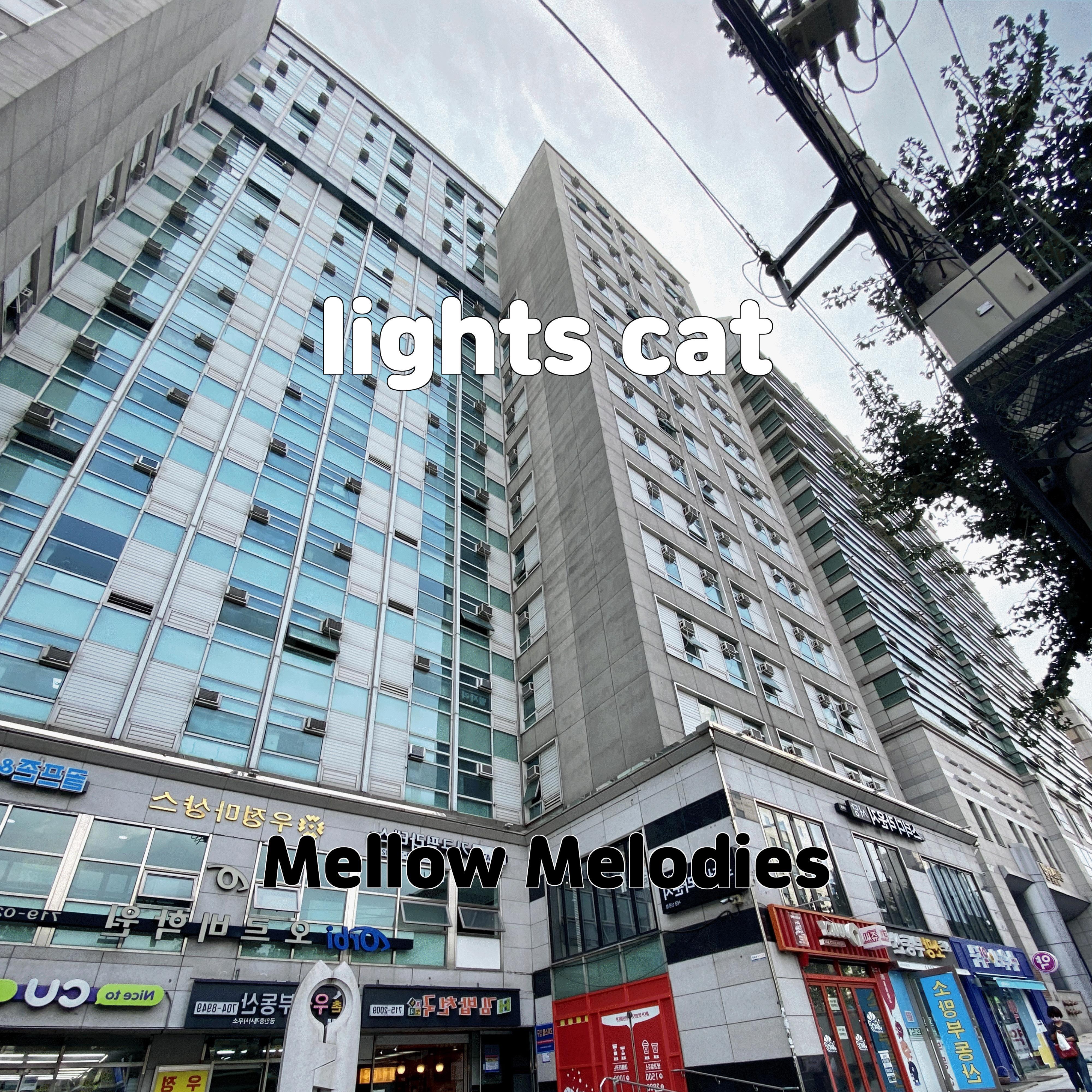 Постер альбома lights cat