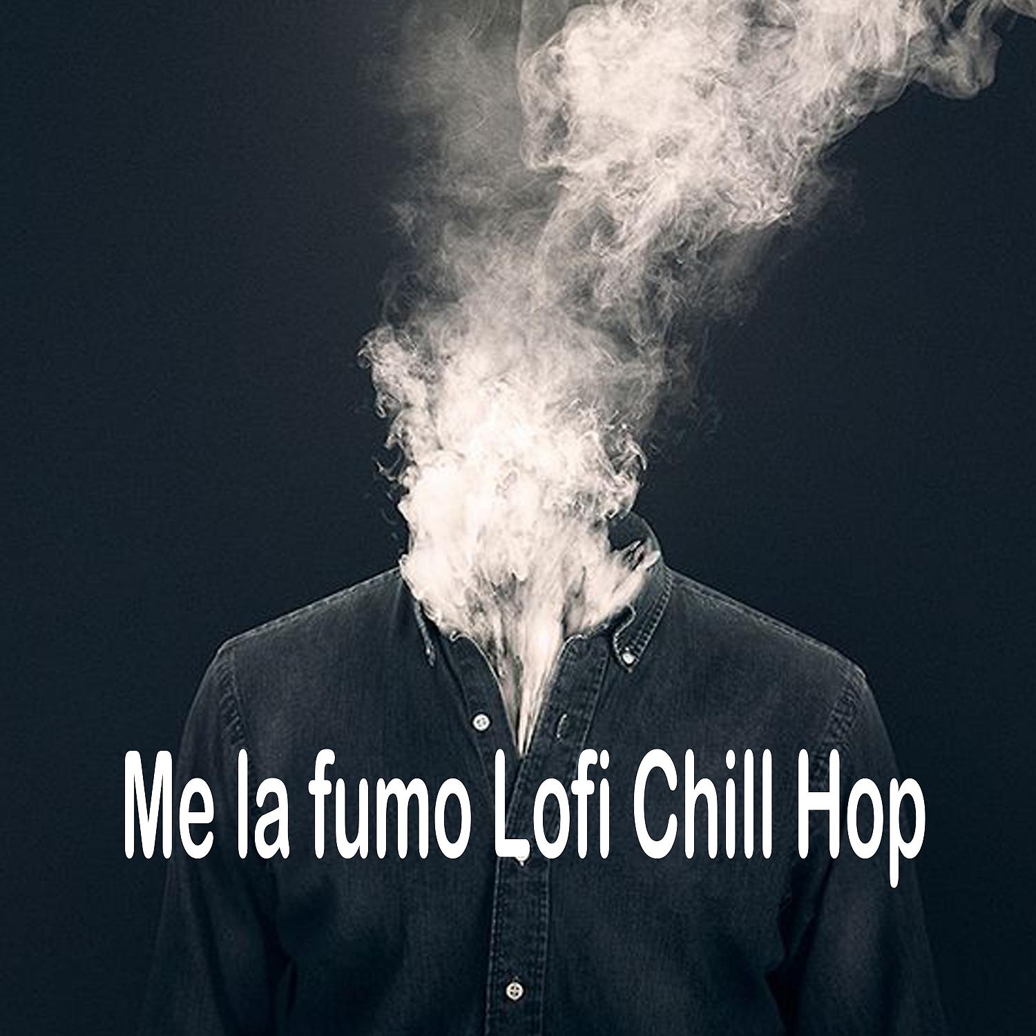 Постер альбома I smoke it lofi chill hop