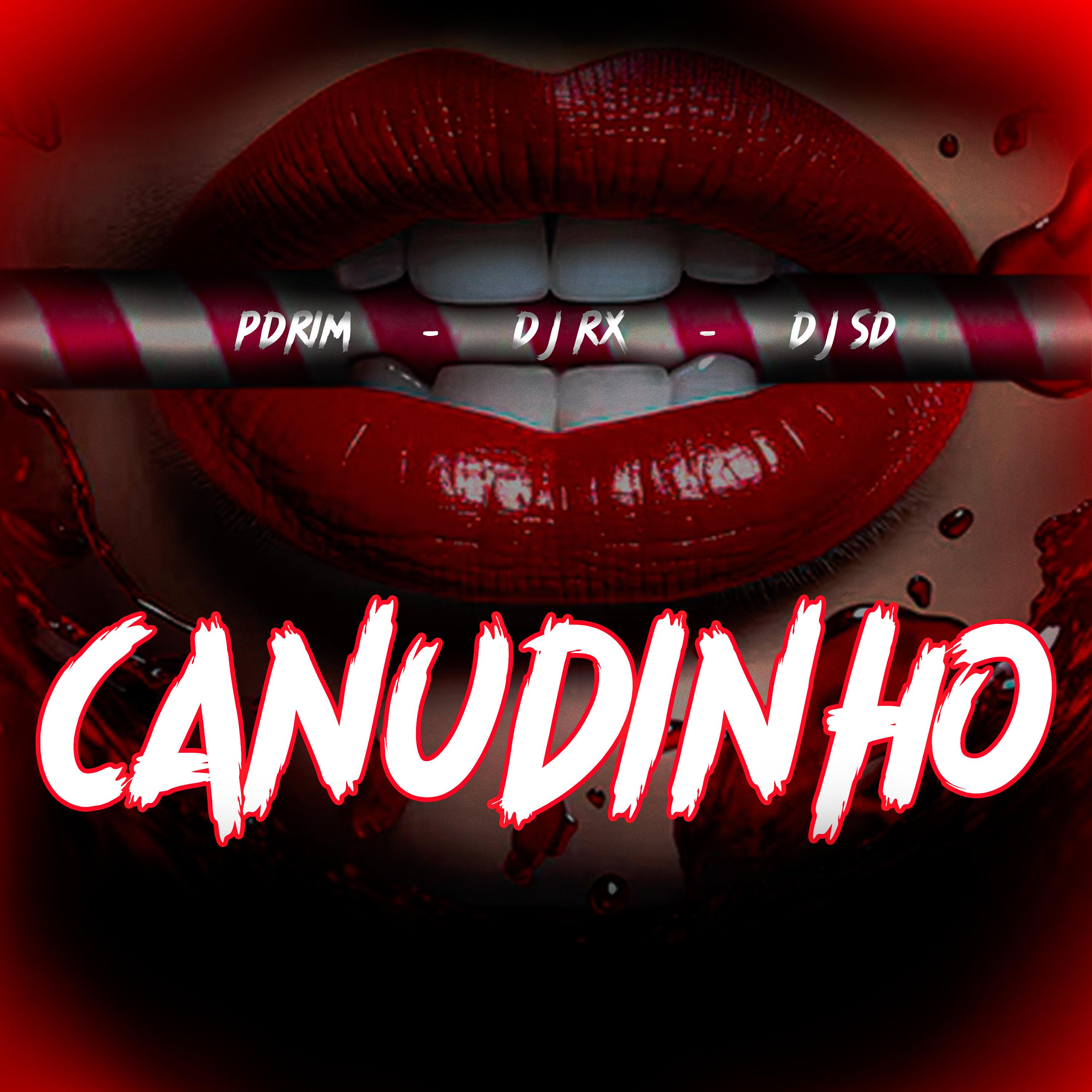 Постер альбома Canudinho