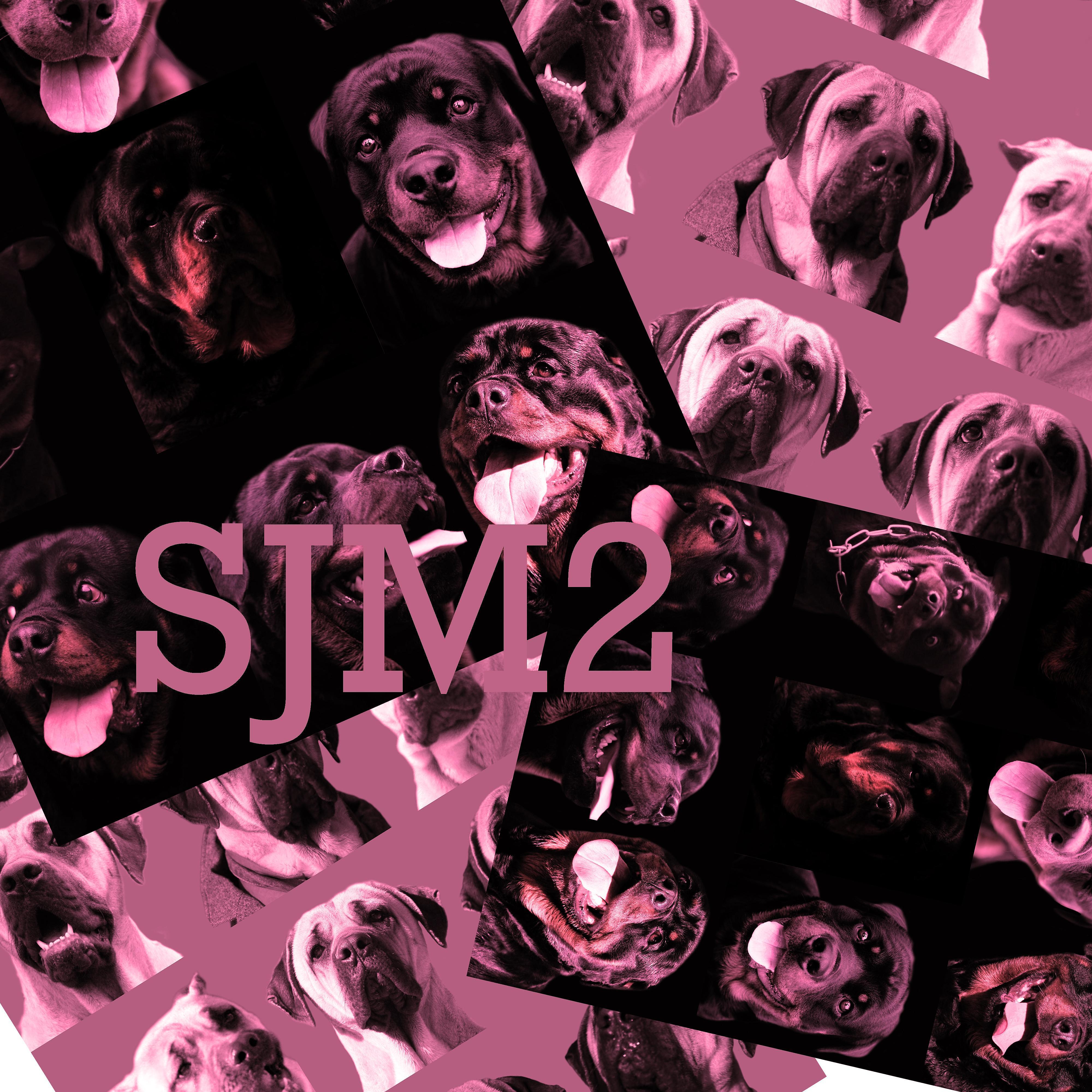 Постер альбома SJM2
