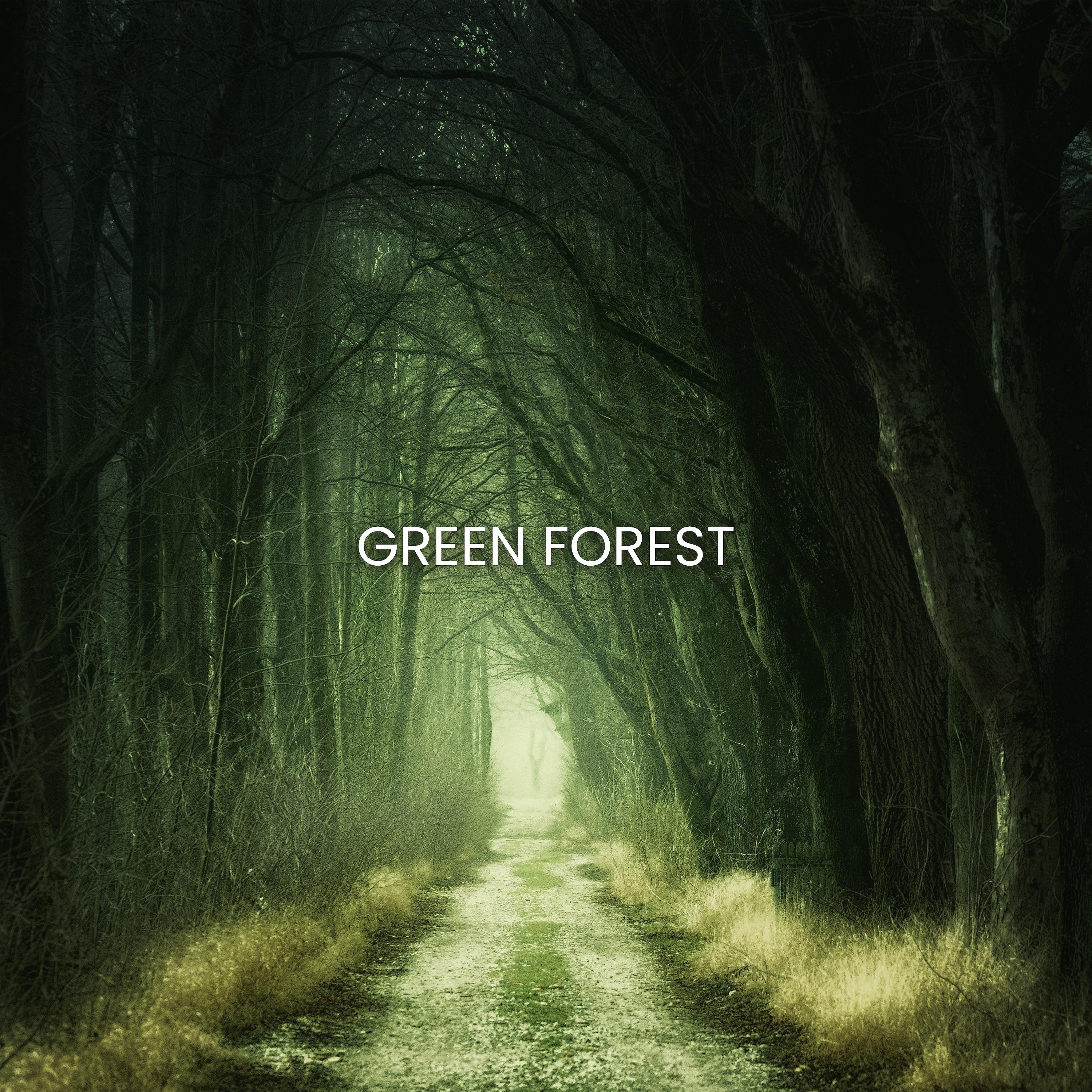 Постер альбома Green Forest
