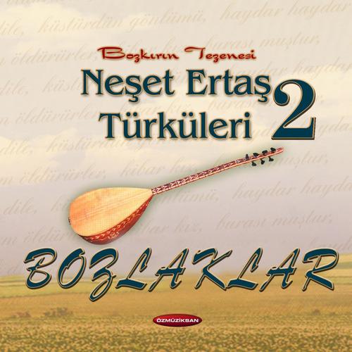 Постер альбома Bozlaklar - Neşet Ertaş Türküleri, Vol. 2