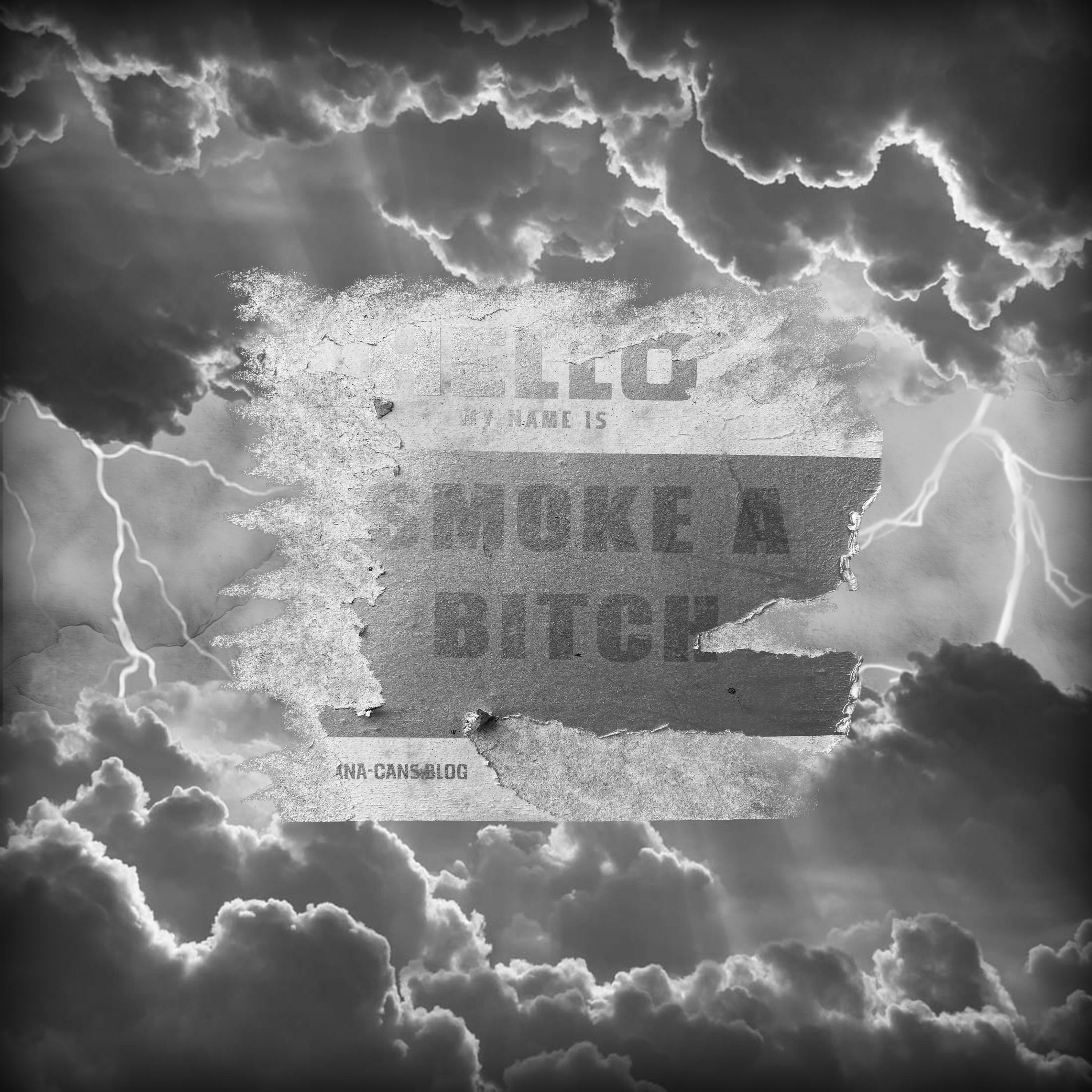 Постер альбома Smoke A Bitch