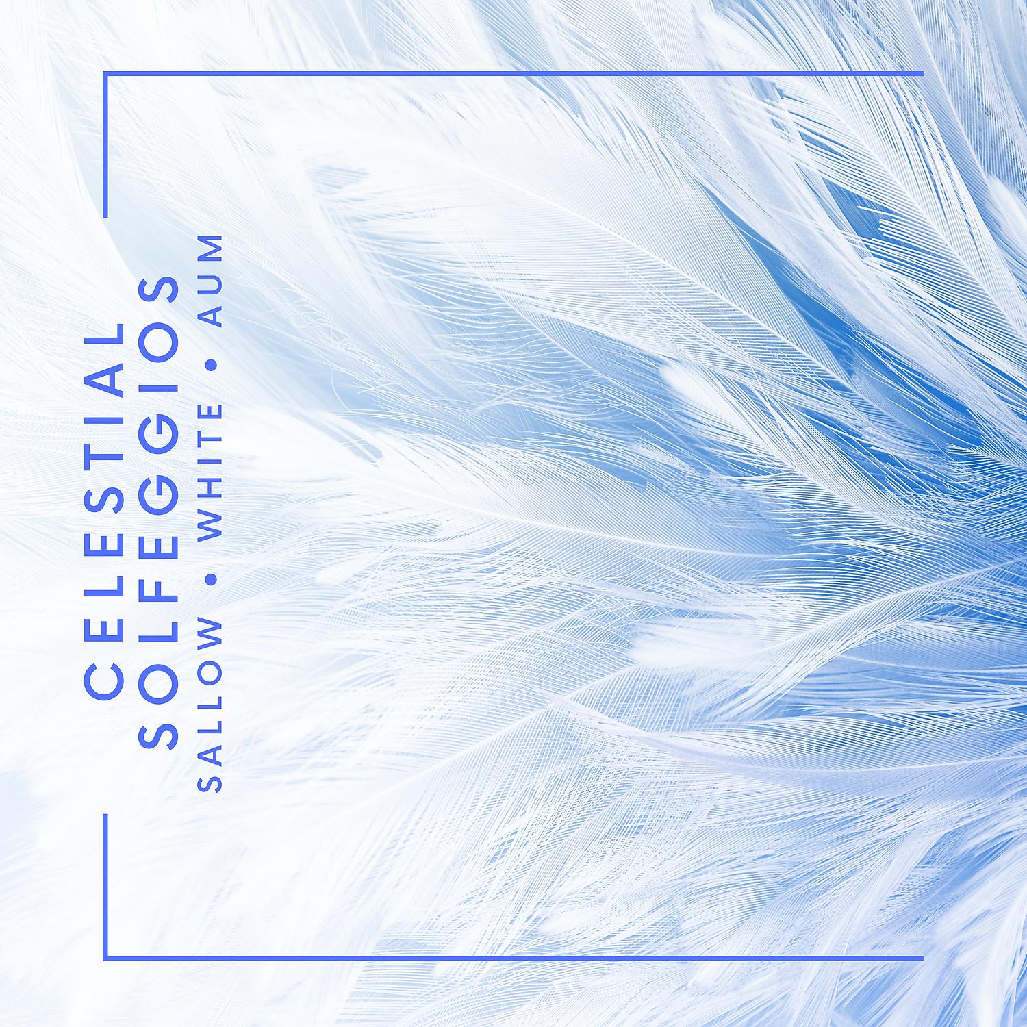 Постер альбома Celestial Solfeggios: Angelic Meditation
