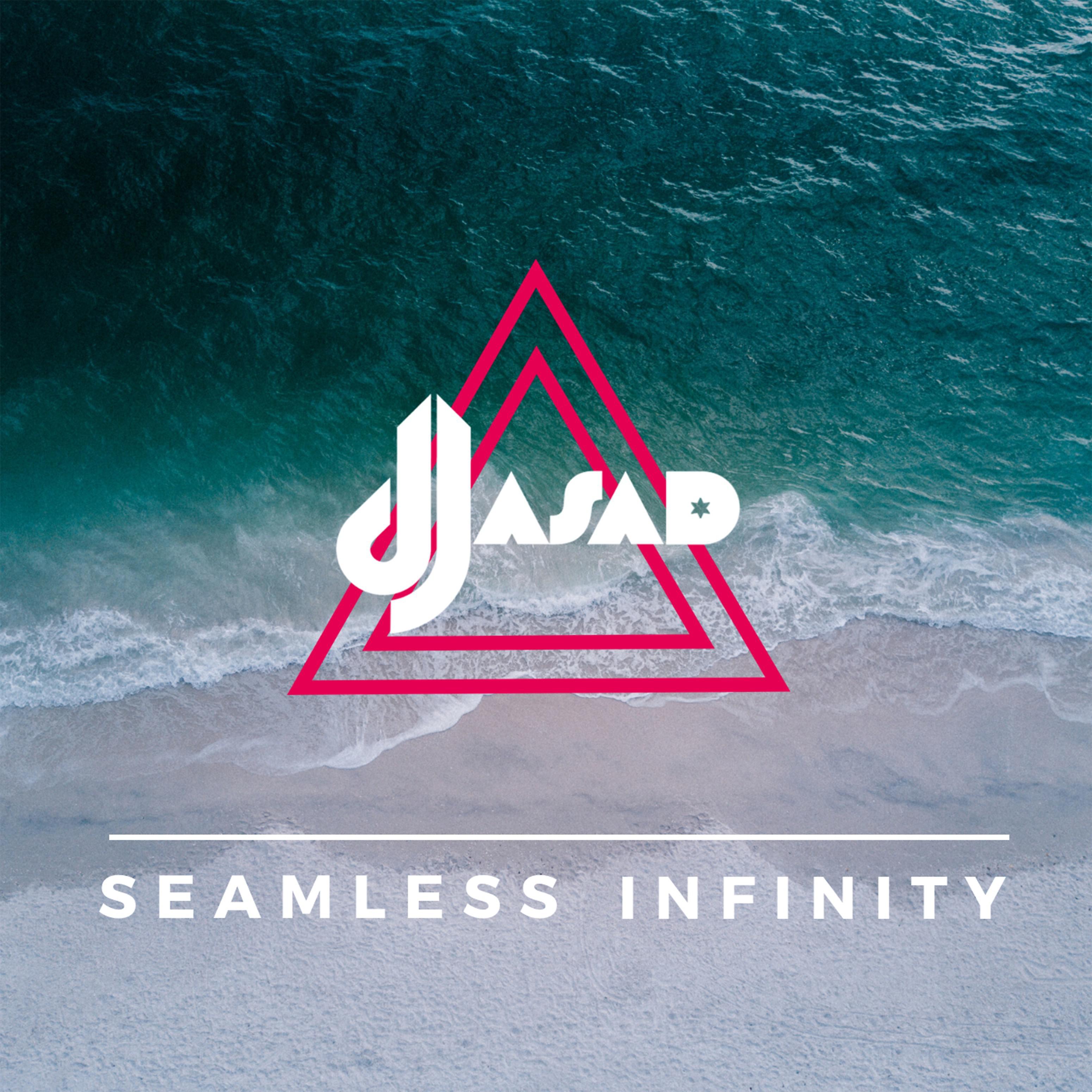 Постер альбома Seamless Infinity