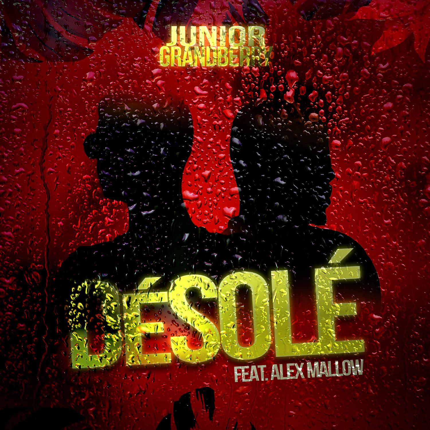Постер альбома Désolé (feat. Alex Mallow)