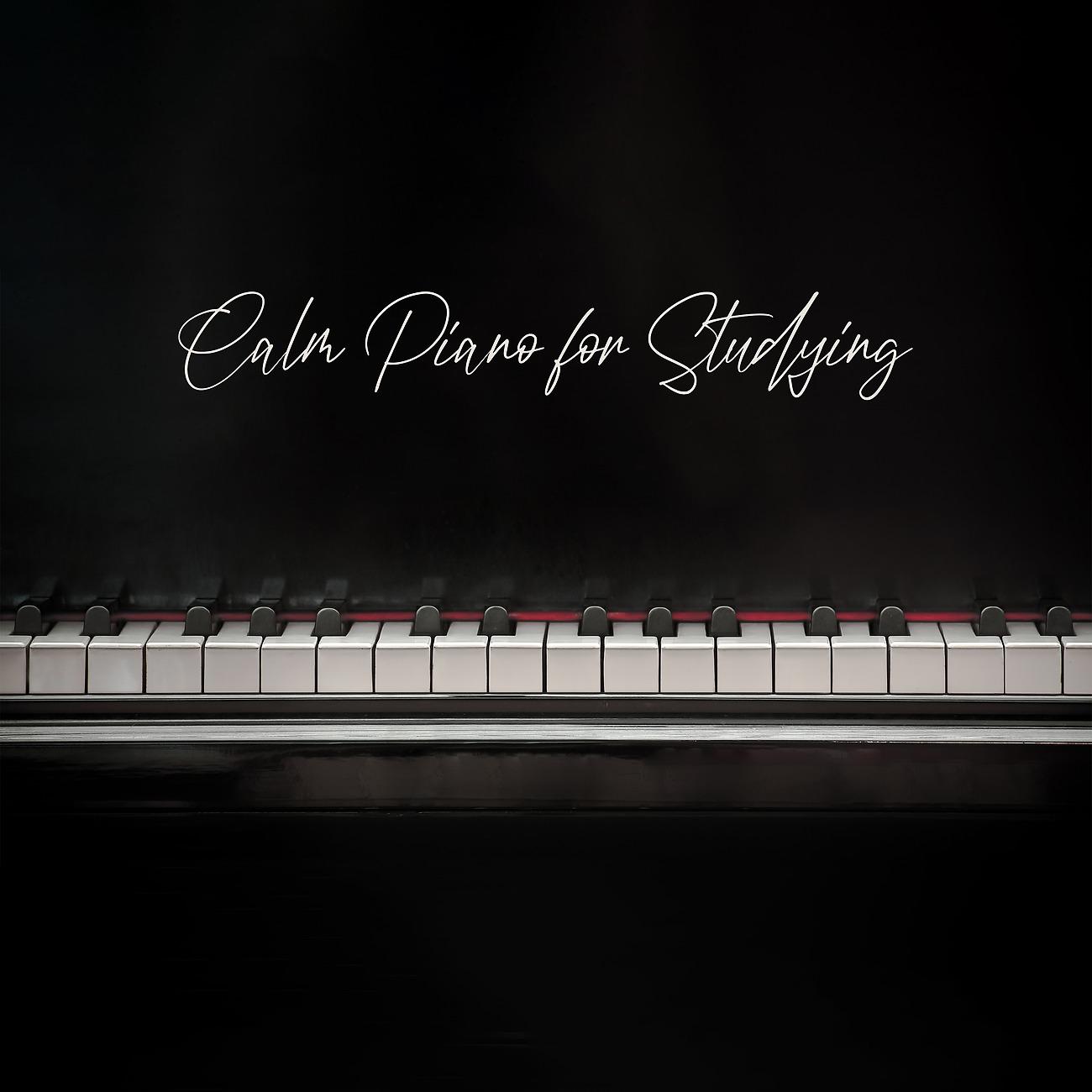 Постер альбома Calm Piano for Studying
