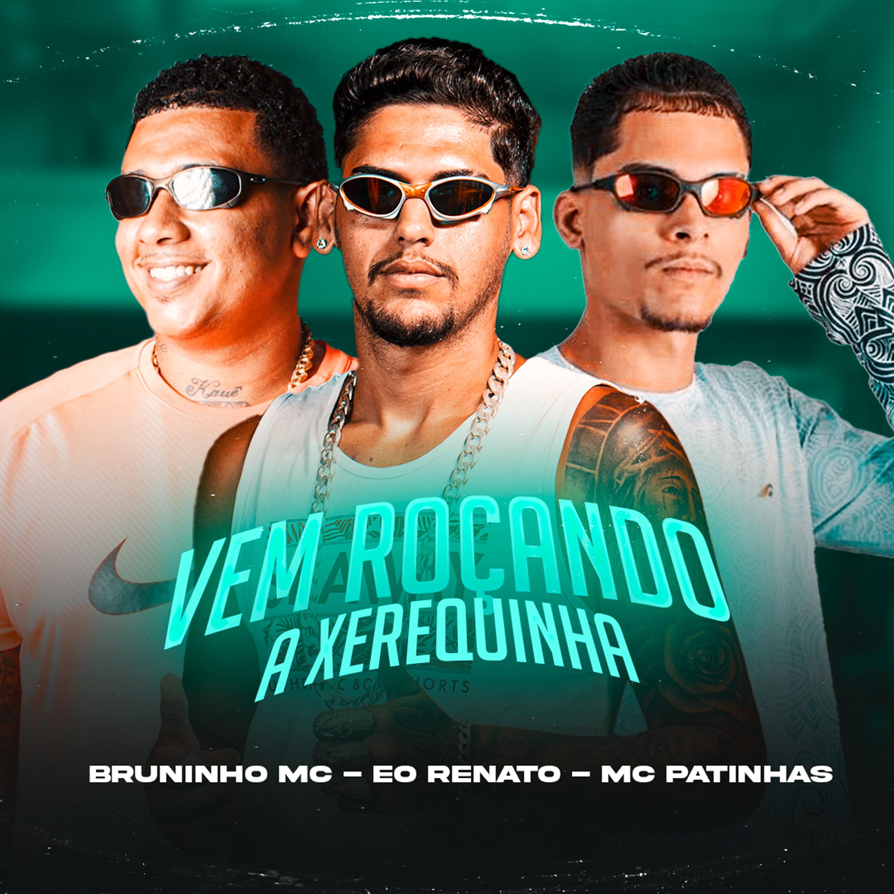 Постер альбома Vem Roçando a Xerequinha