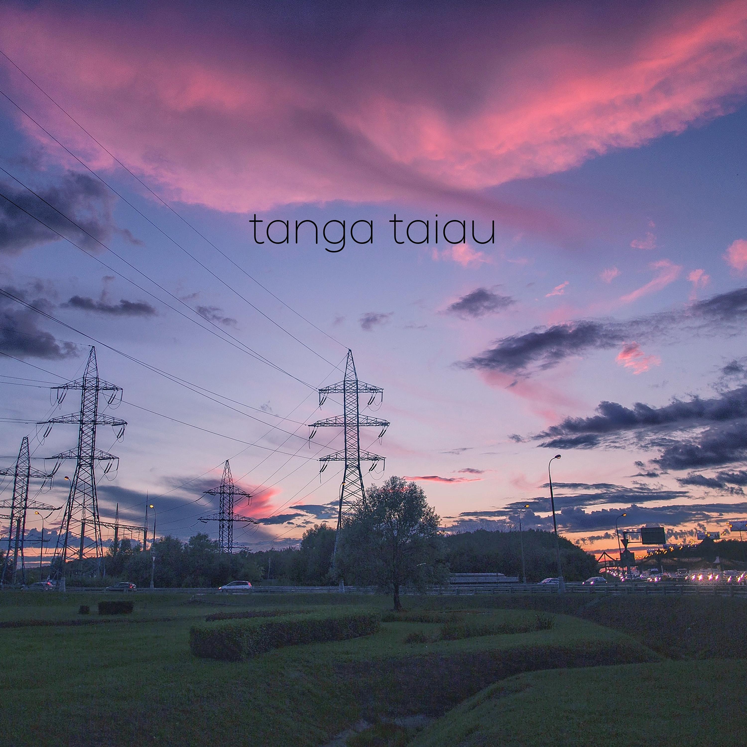 Постер альбома tanga taiau