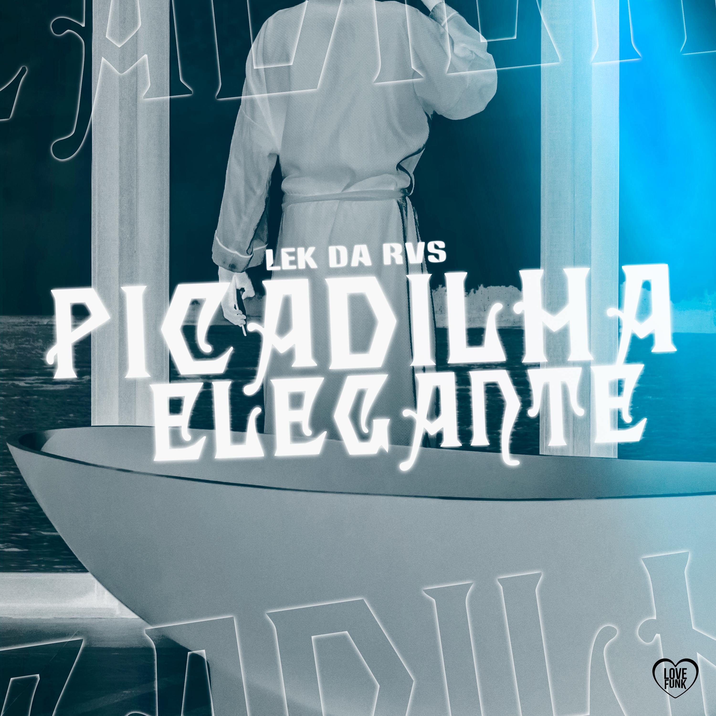 Постер альбома Picadilha Elegante