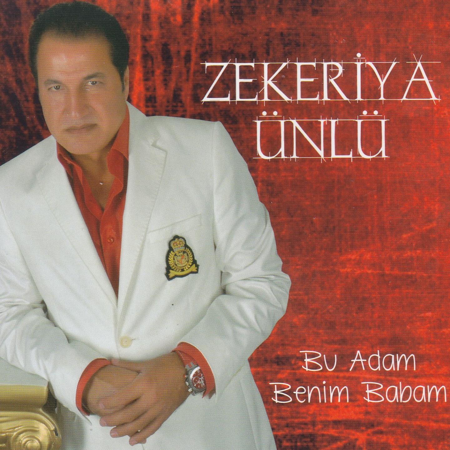 Постер альбома Bu Adam Benim Babam