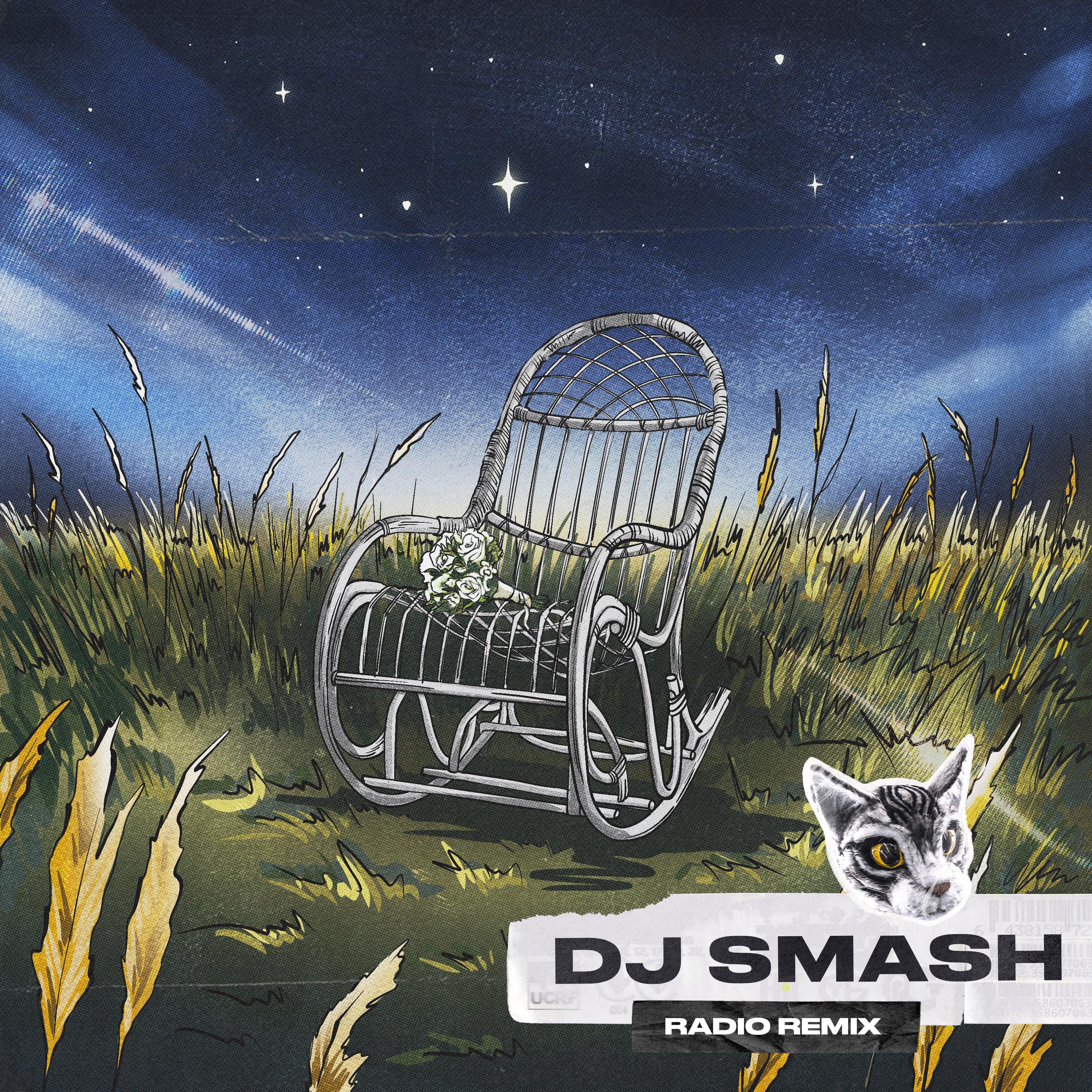 Постер альбома НИЧЕГО НЕ ГОВОРИ (DJ SMASH RADIO REMIX)