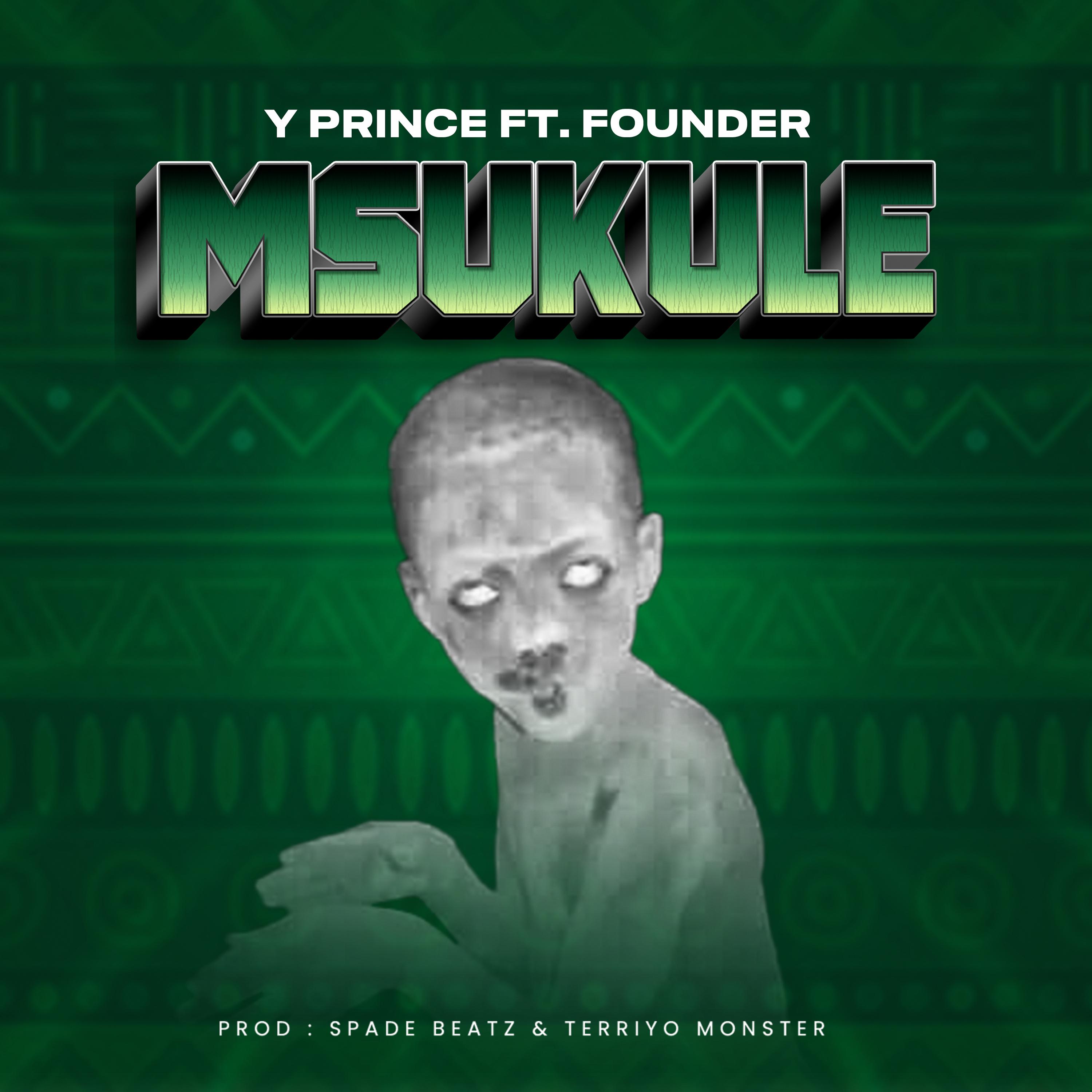Постер альбома Msukule