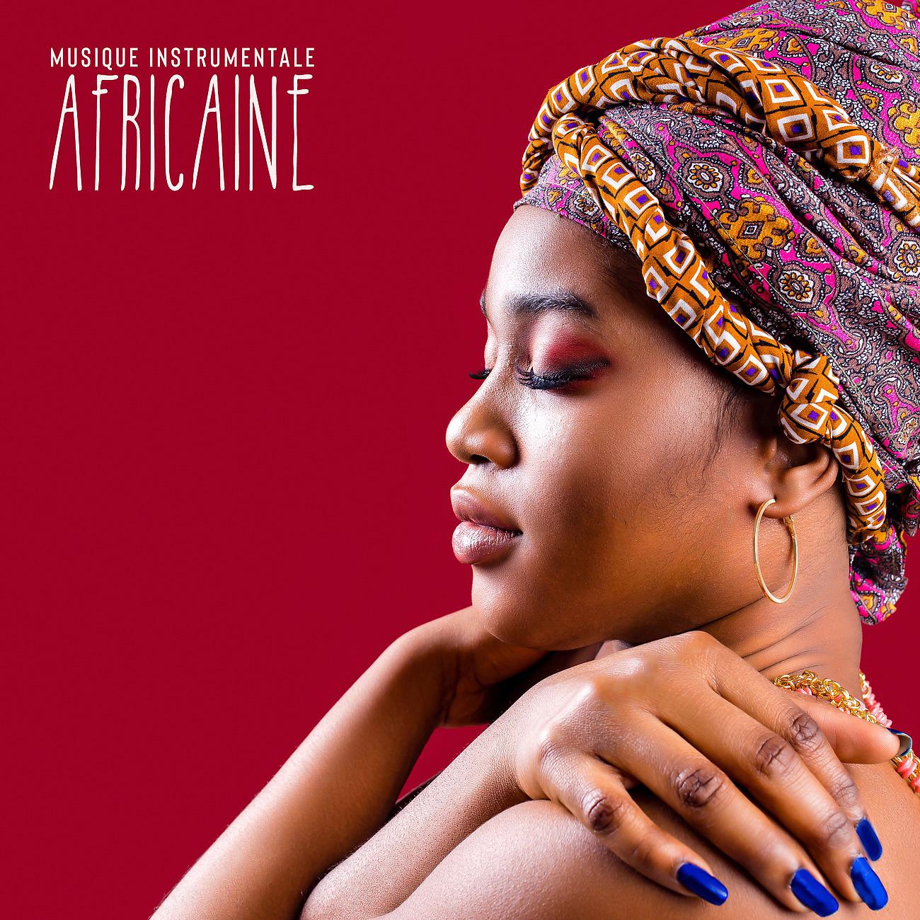 Постер альбома Musique instrumentale africaine