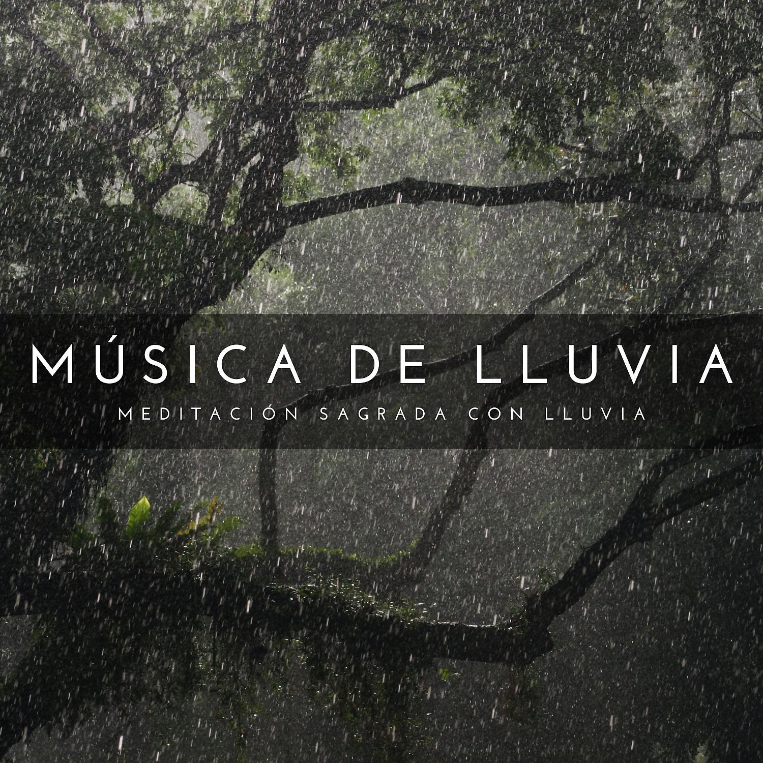 Постер альбома Música De Lluvia: Meditación Sagrada Con Lluvia